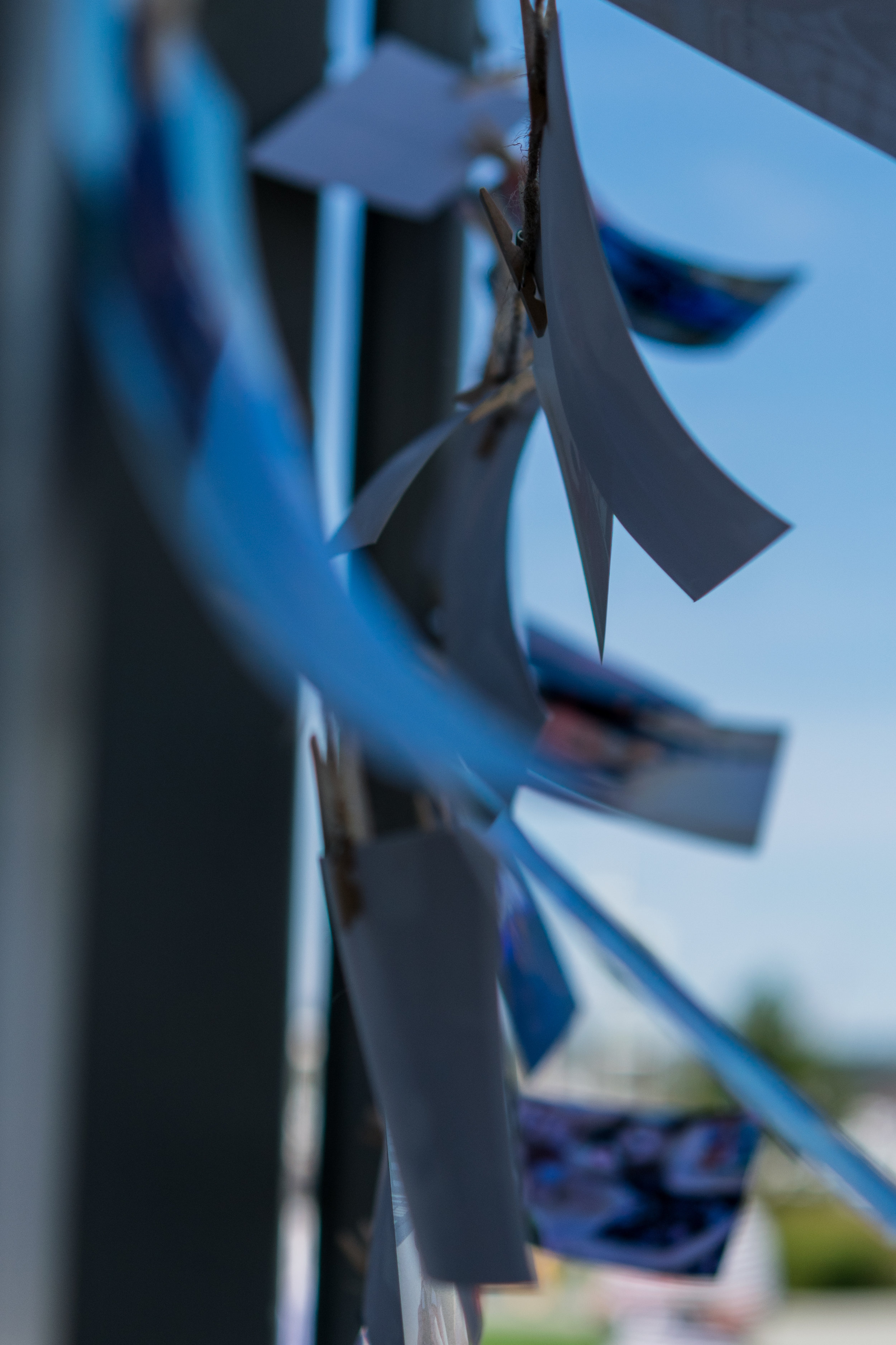 Anacortes Cancer Walk-7877.jpg