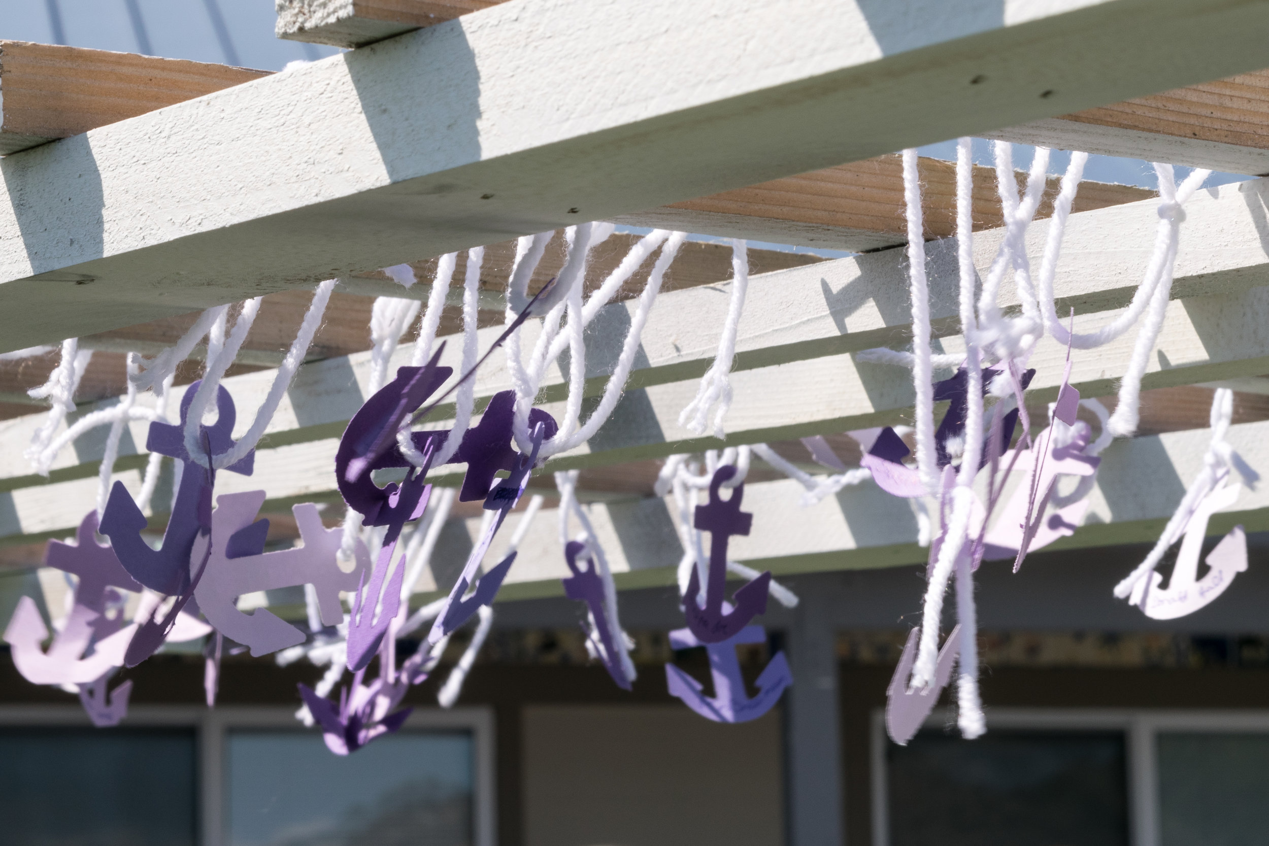 Anacortes Cancer Walk-7731.jpg