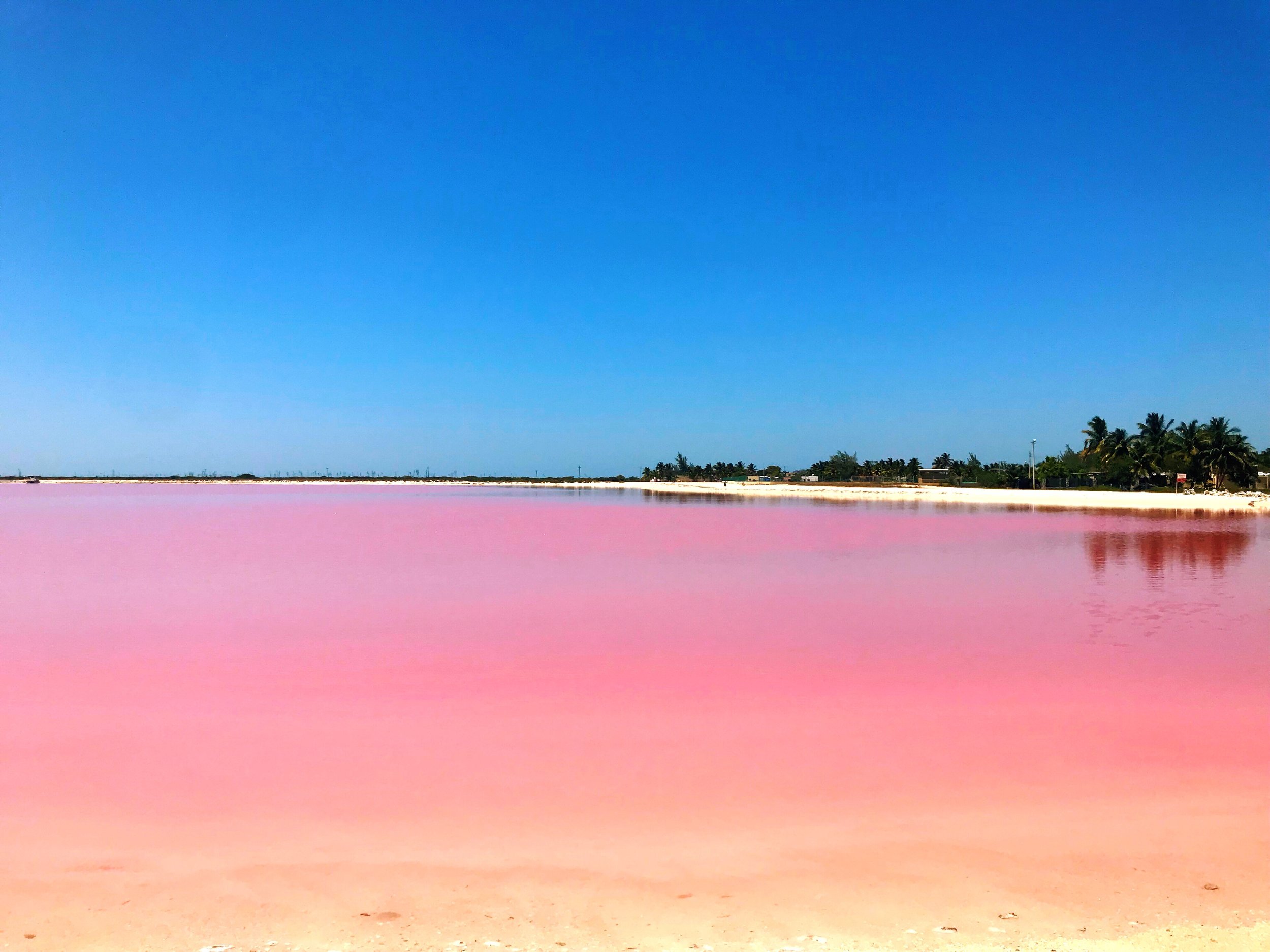 Visiting Pink Lakes Las Coloradas