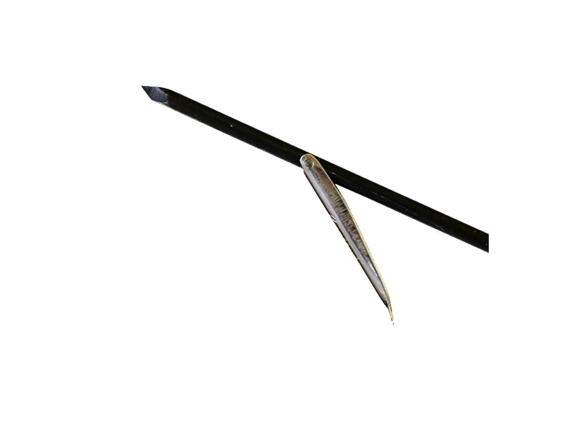 Compressed AM copy lance.jpg