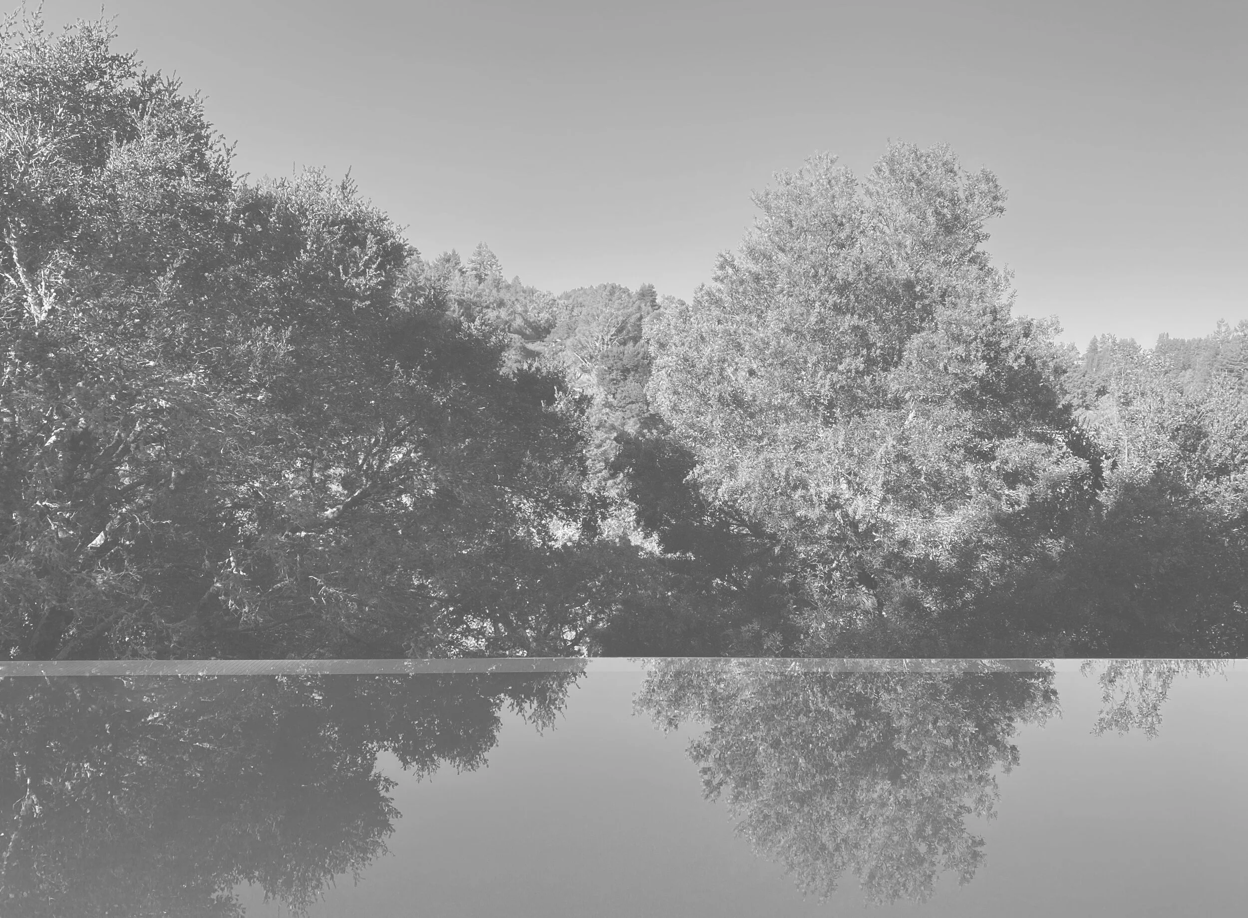 MARIN ESTATE - COMING SOON