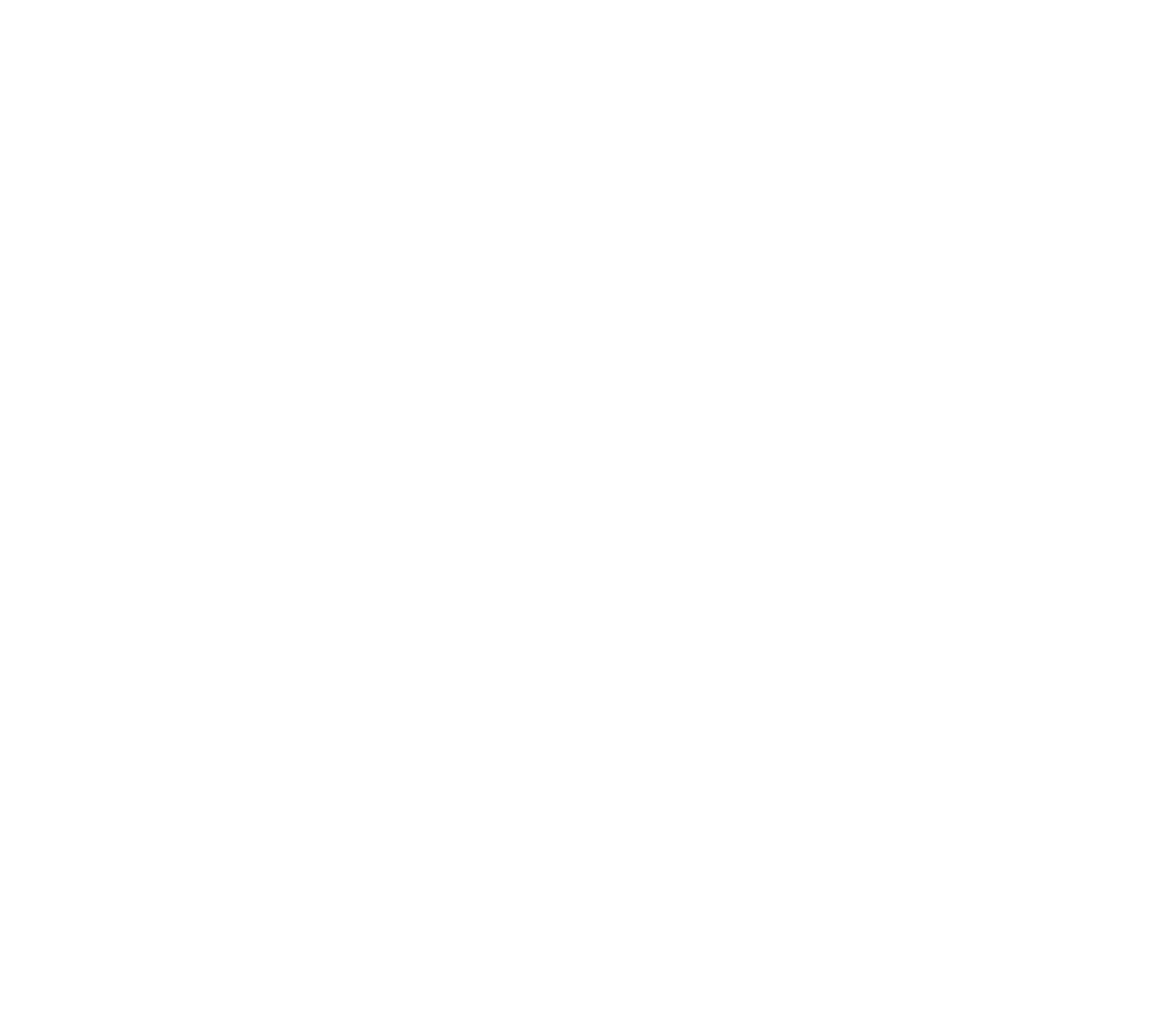 Shannon Lee Strategy, Social Media, Digital Marketing Consultants in Bend, Oregon