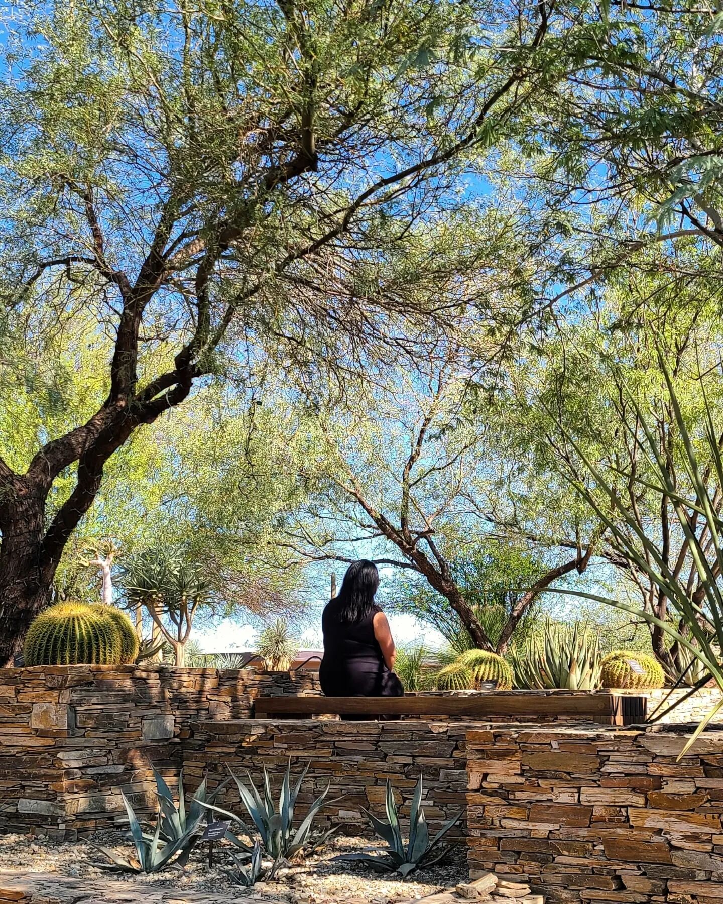 Delighted to be in the desert #phoenix #botanicalgarden #plants