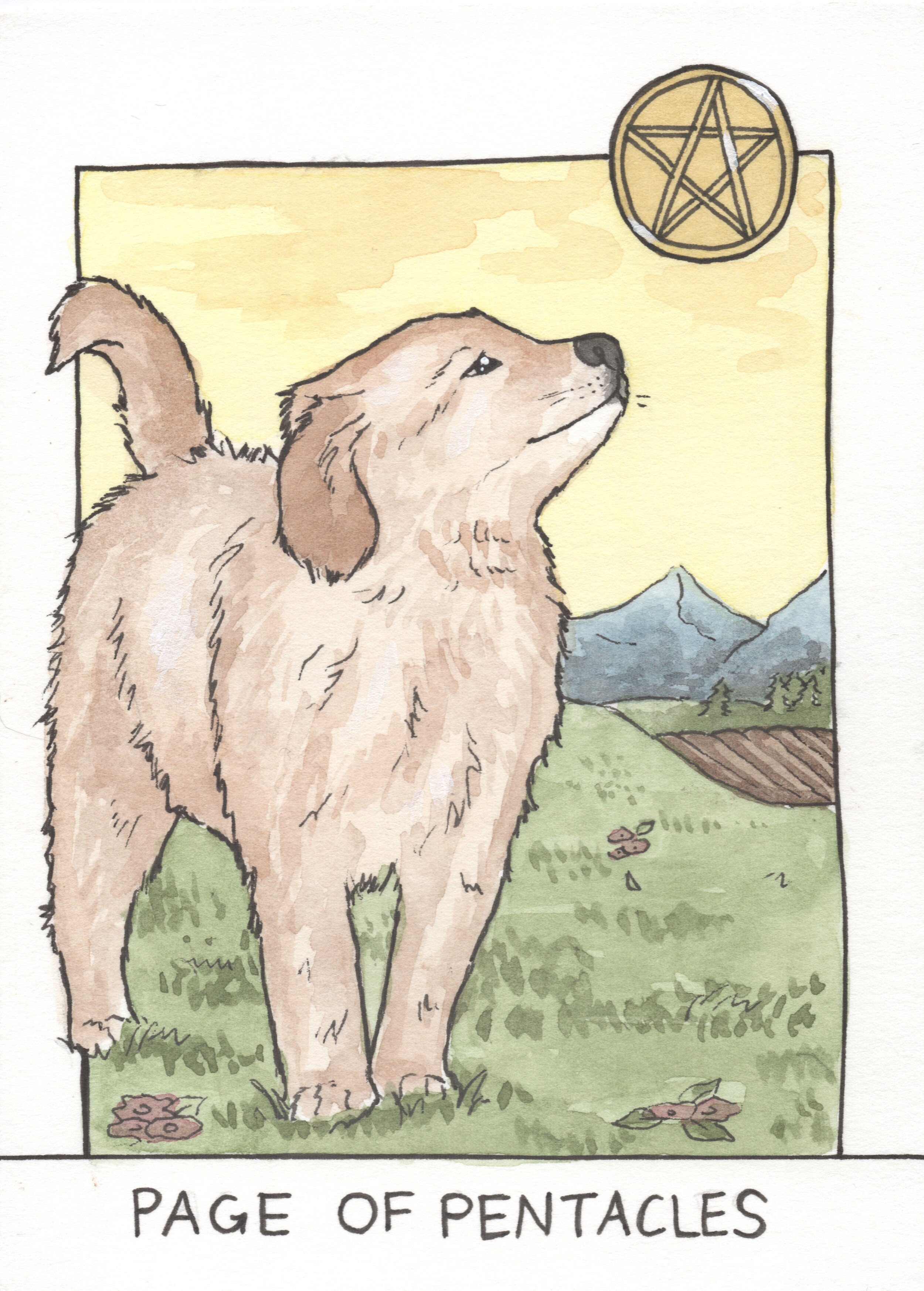 74-Page of Pentacles.jpeg