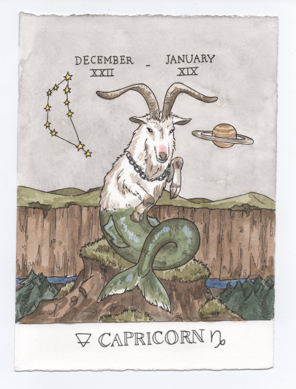 Capricorn