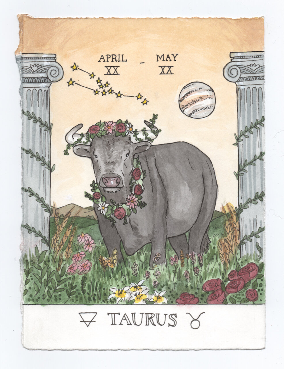 taurus.jpeg