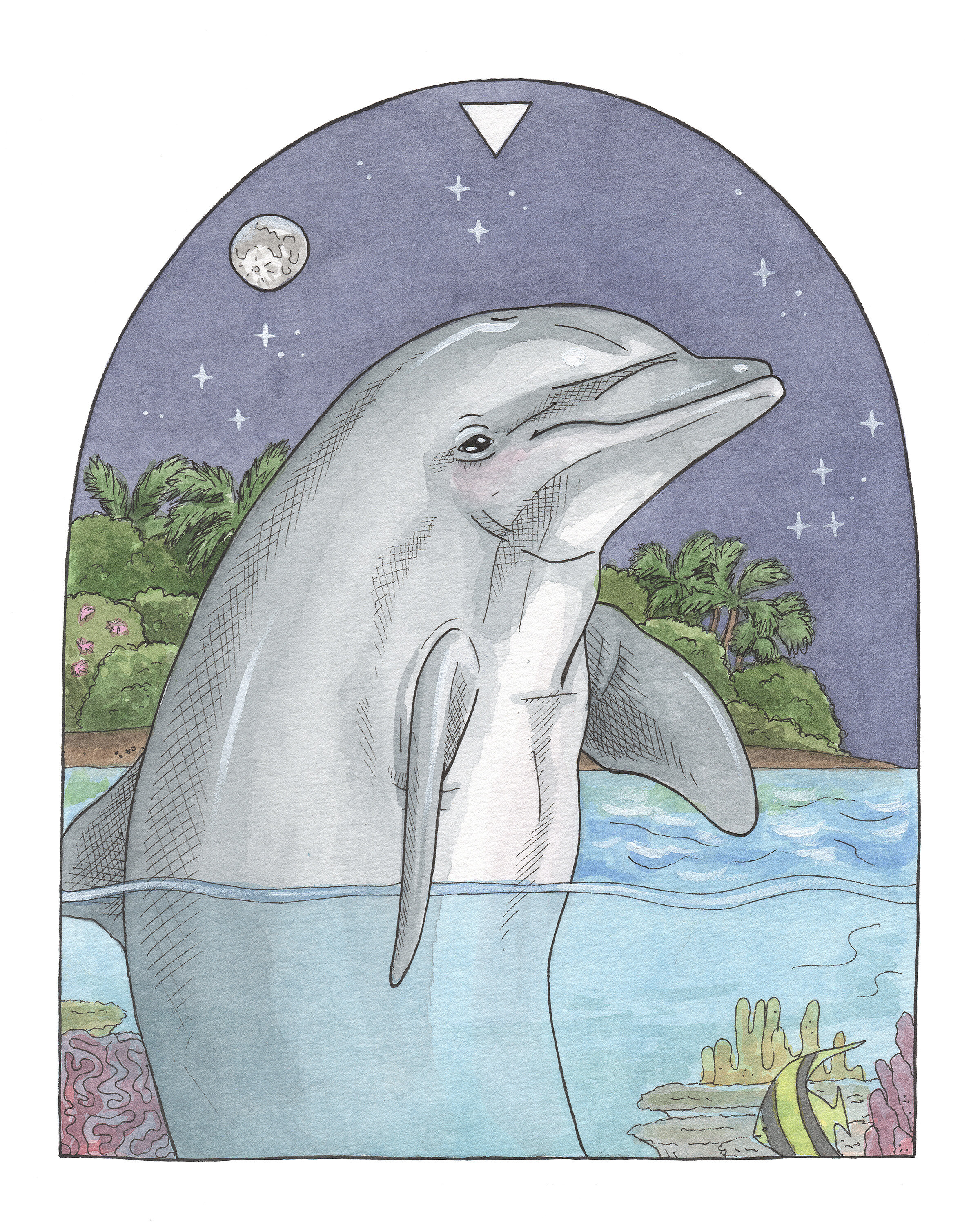 Water: Dolphin