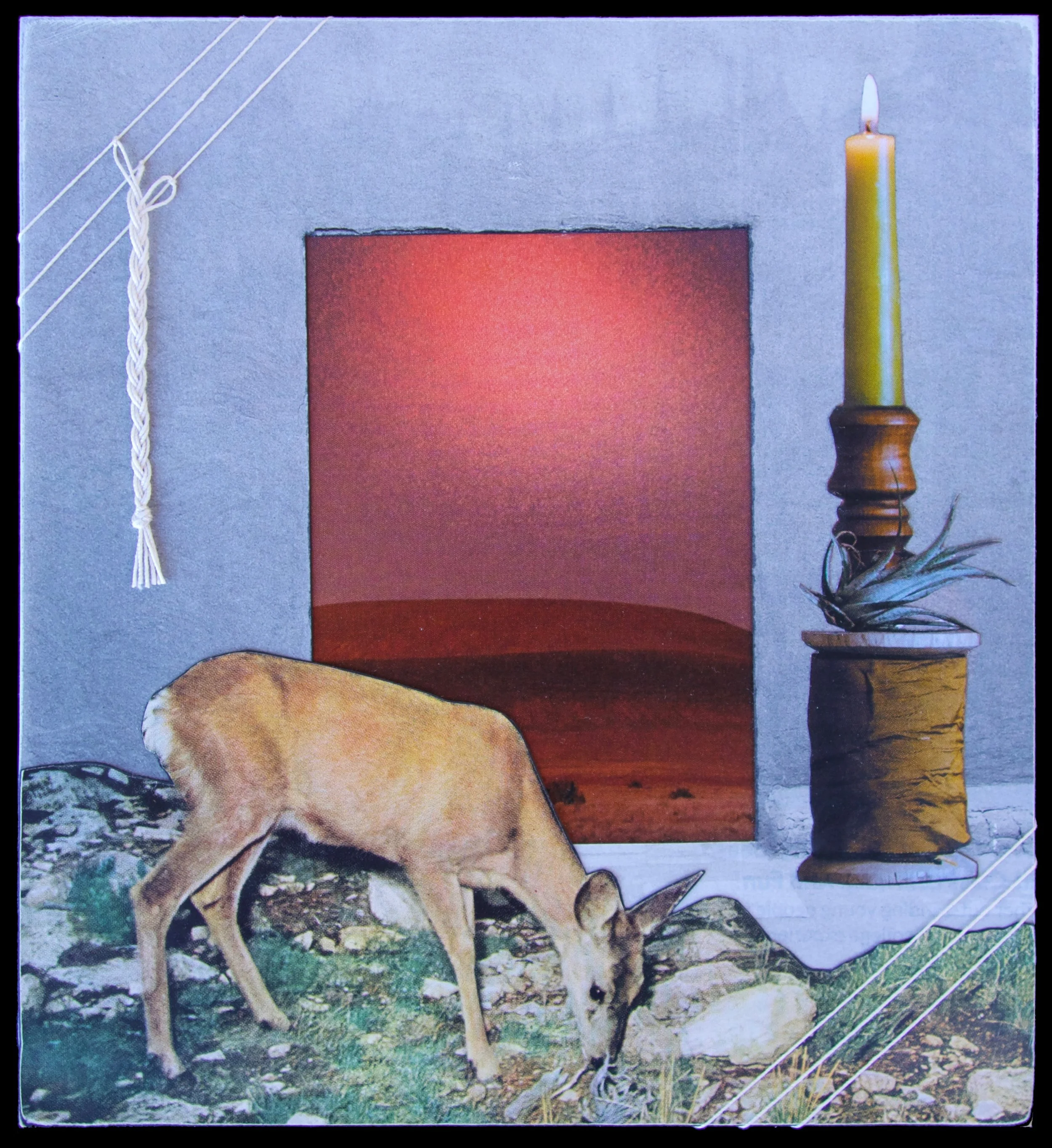 Deer and Candle