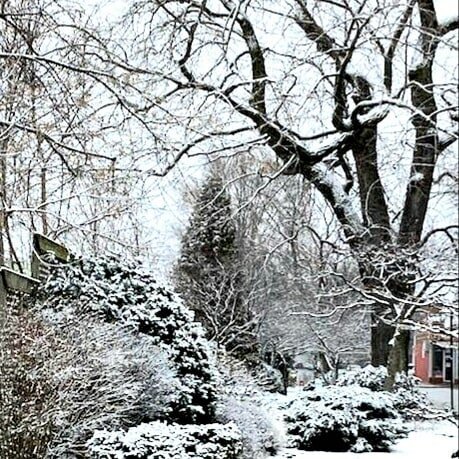 West Andersonville Garden is beautiful, even in winter.