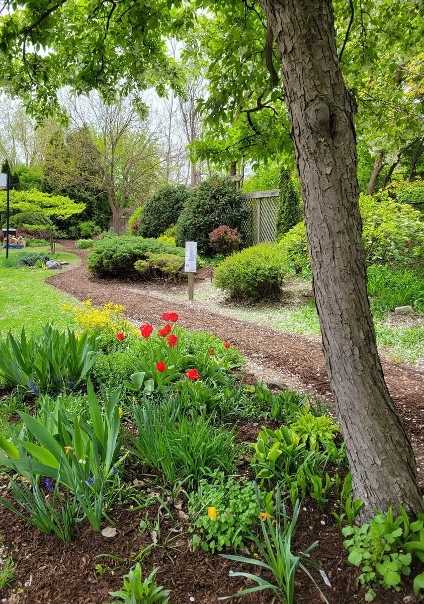 WAG Work Day (Leaf Pick-up)