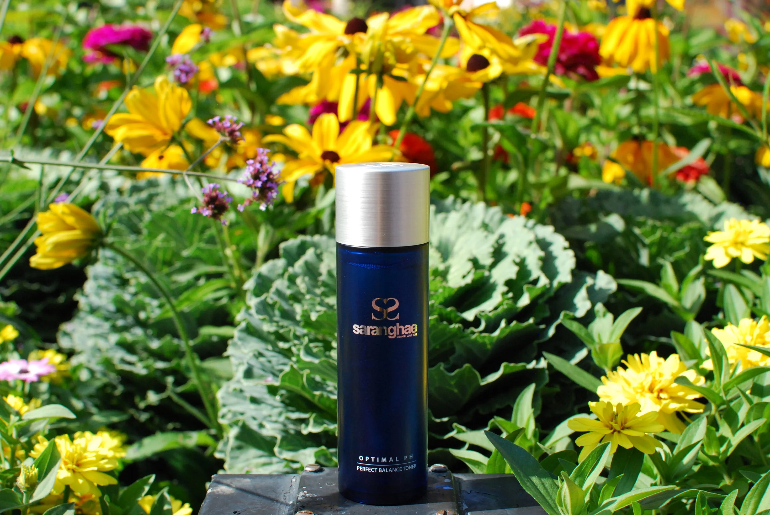 UPDATE: My New Favorite Skincare Line - Saranghae Perfect Balance Toner