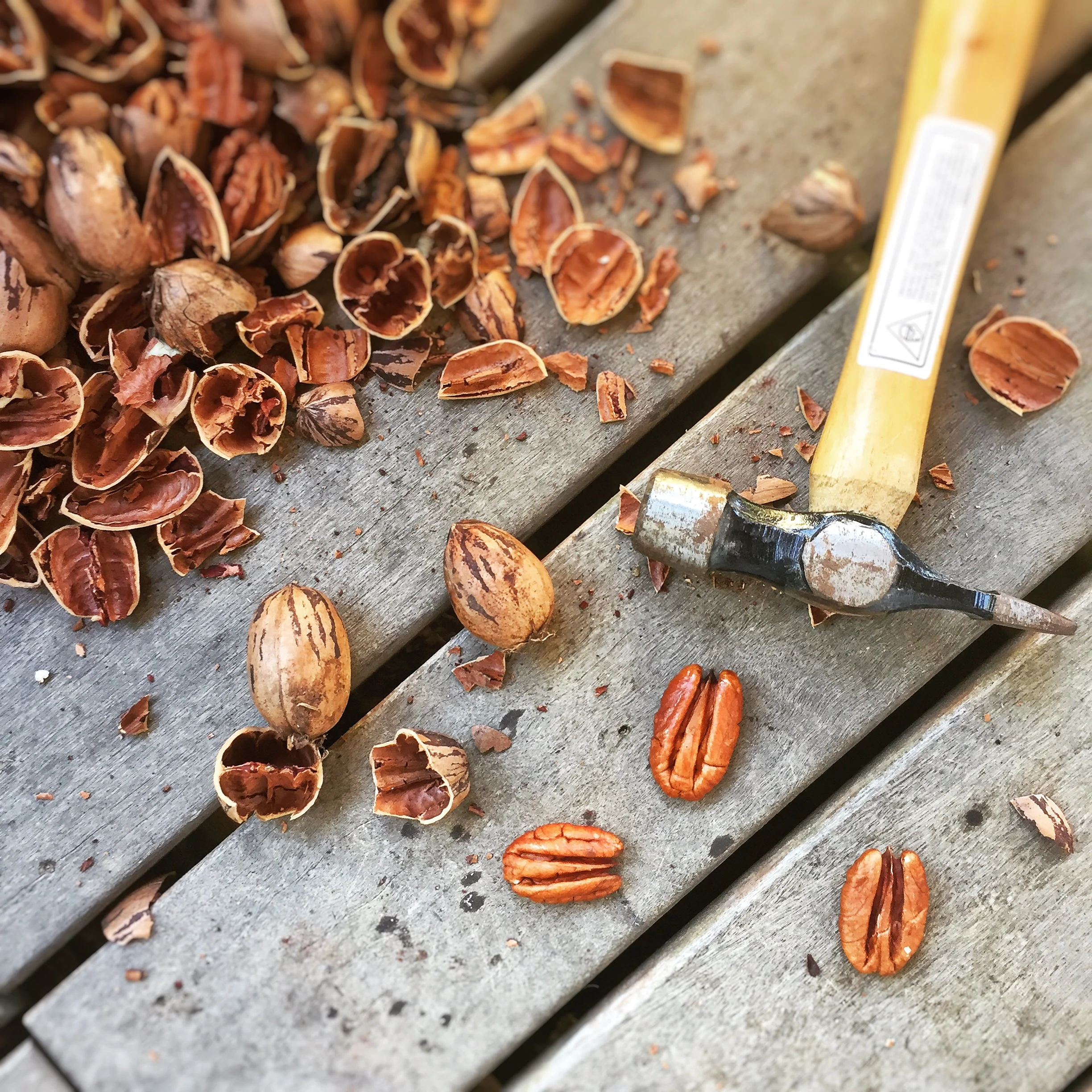 Photographer Alex Bowden