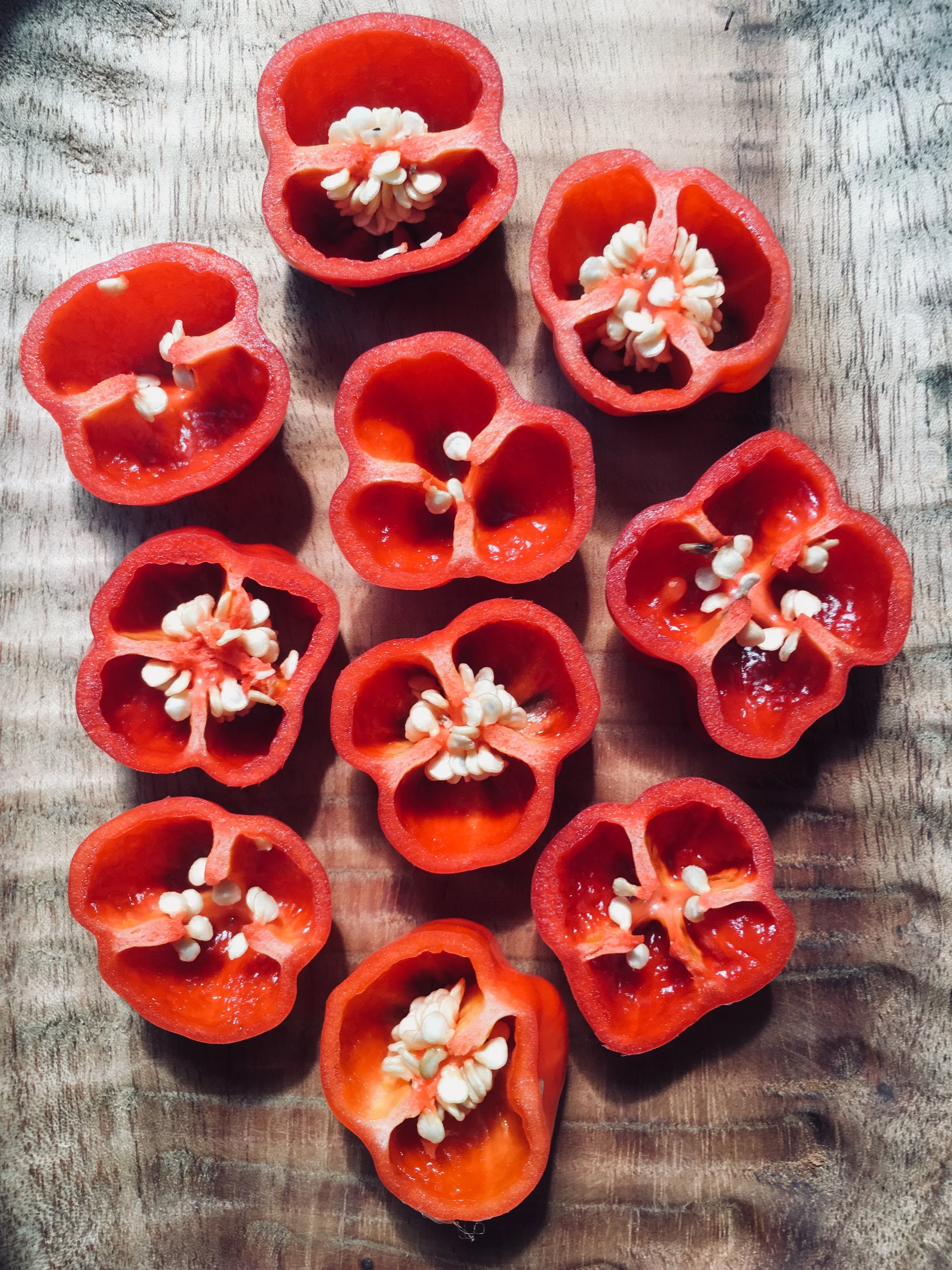 Fermented chilli sauce 