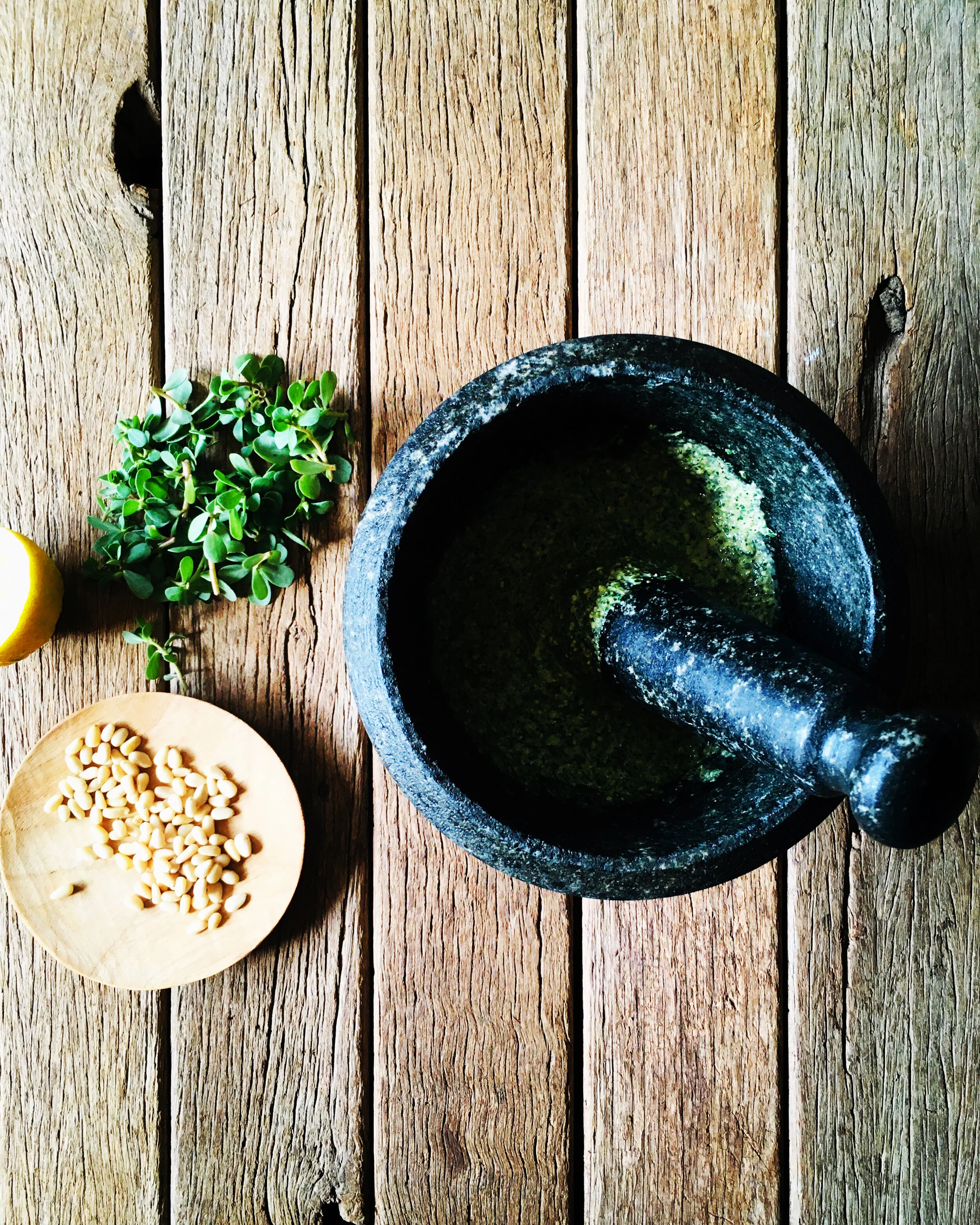 Wild purslane pesto