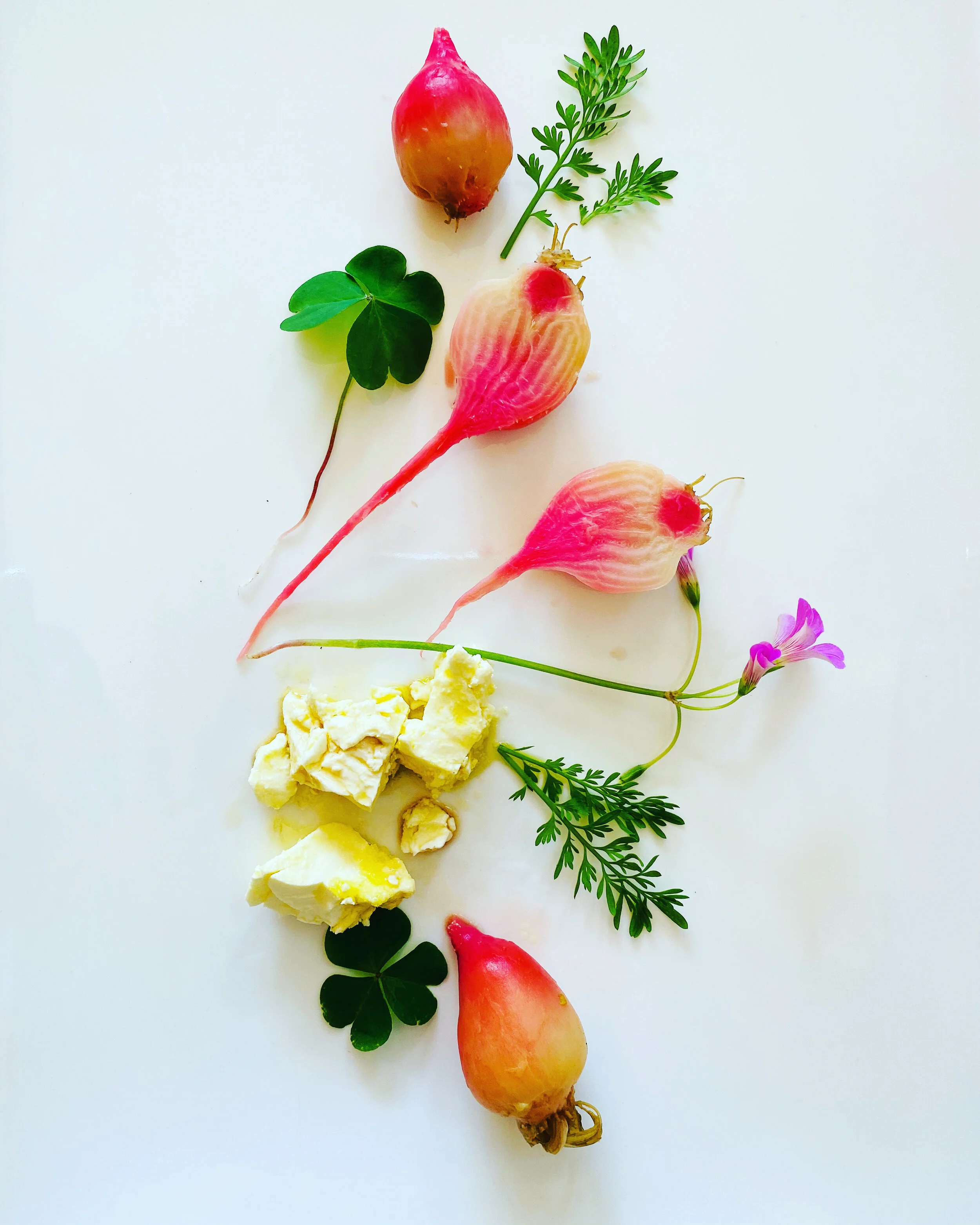 deconstructed_foraged_beetroot_salad.jpg