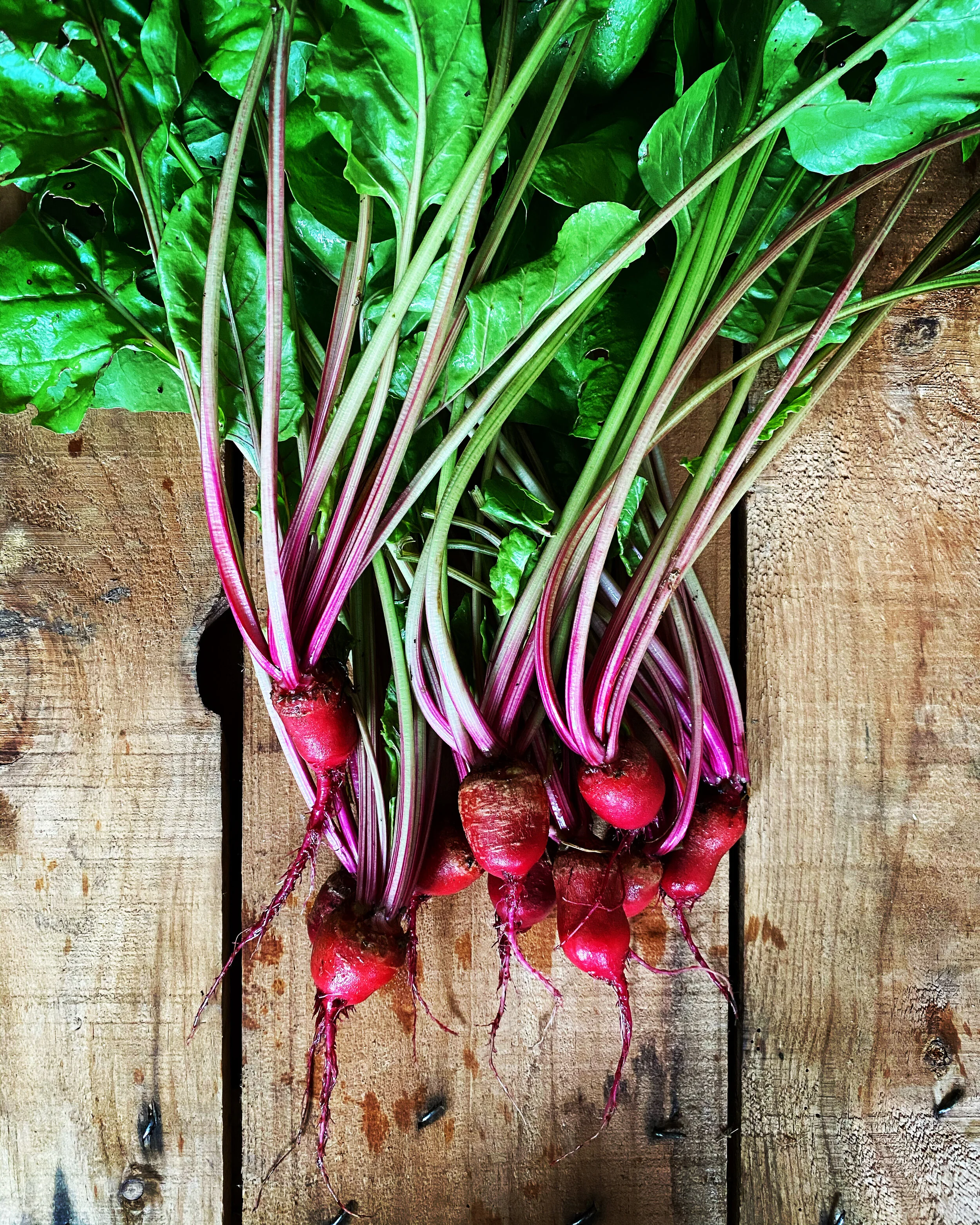 Honey pickled beetroot