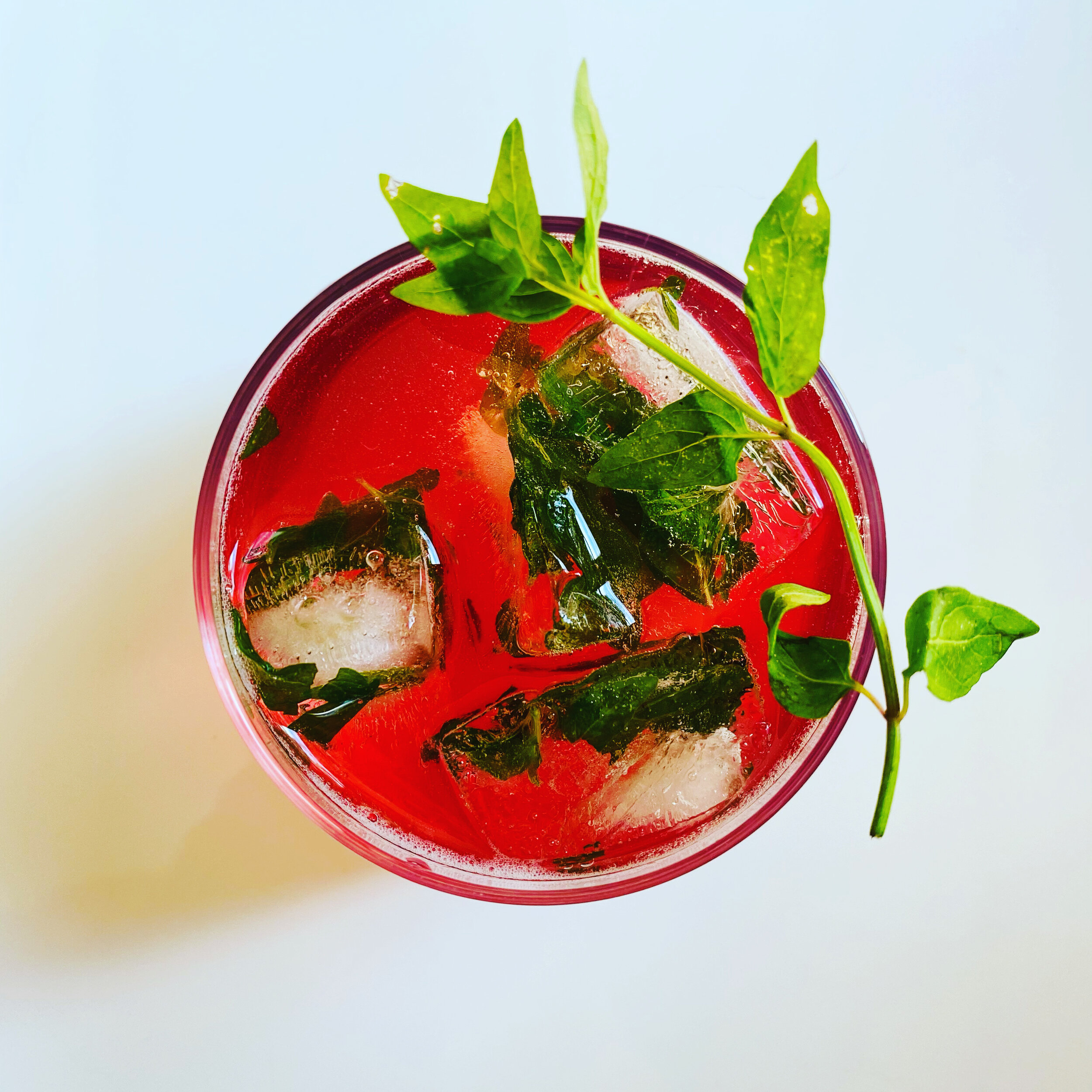 Davidson Plum shrub syrup