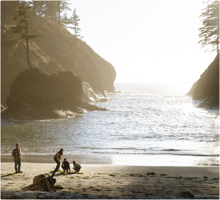 Screenshot 2025-03-11 at 4.02.35 PM.png