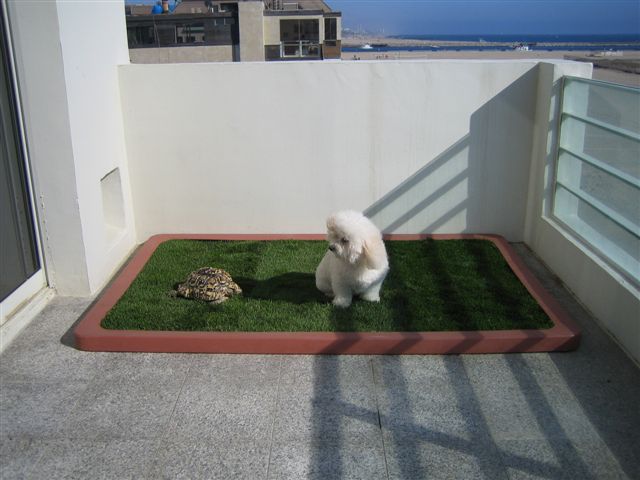 dog litter box for balcony