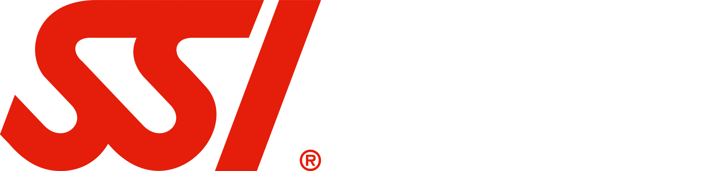 SSI_LOGO_Horizontal_White.png