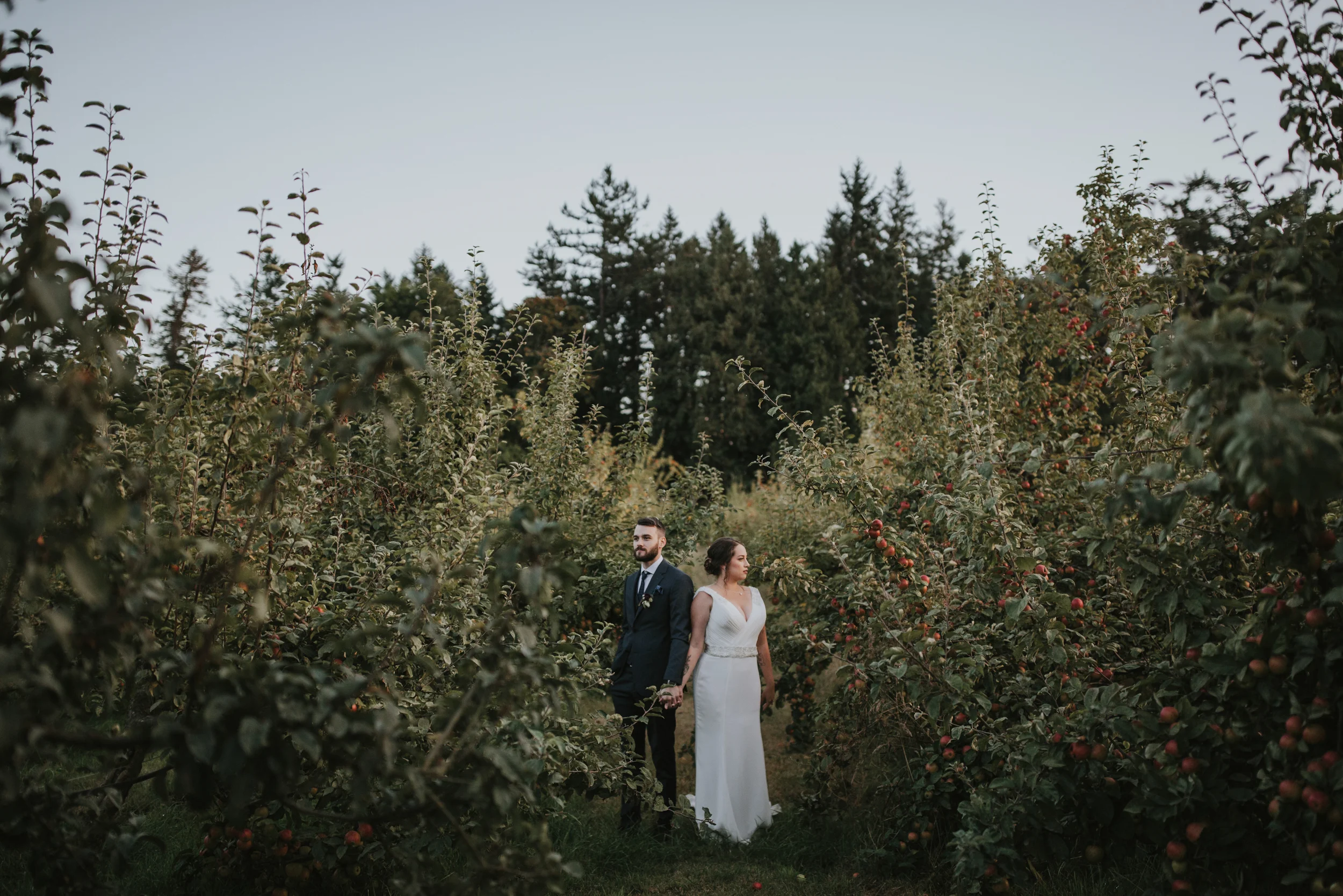 Sea-Cider-Wedding-Victoria-7.jpg