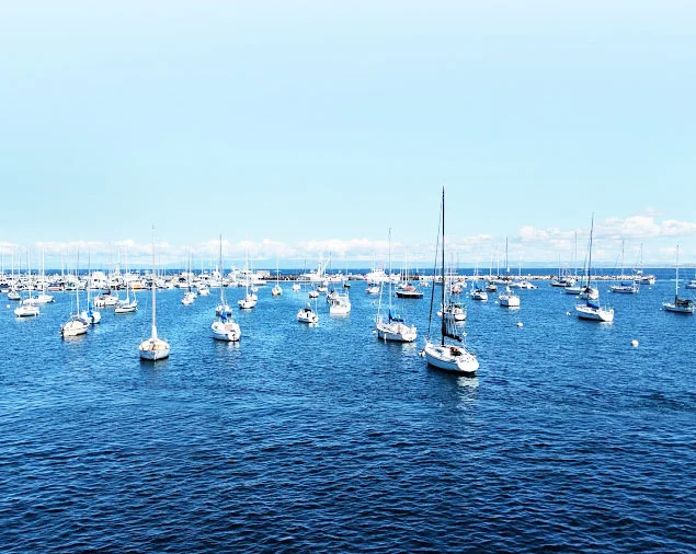 Boats.jpg