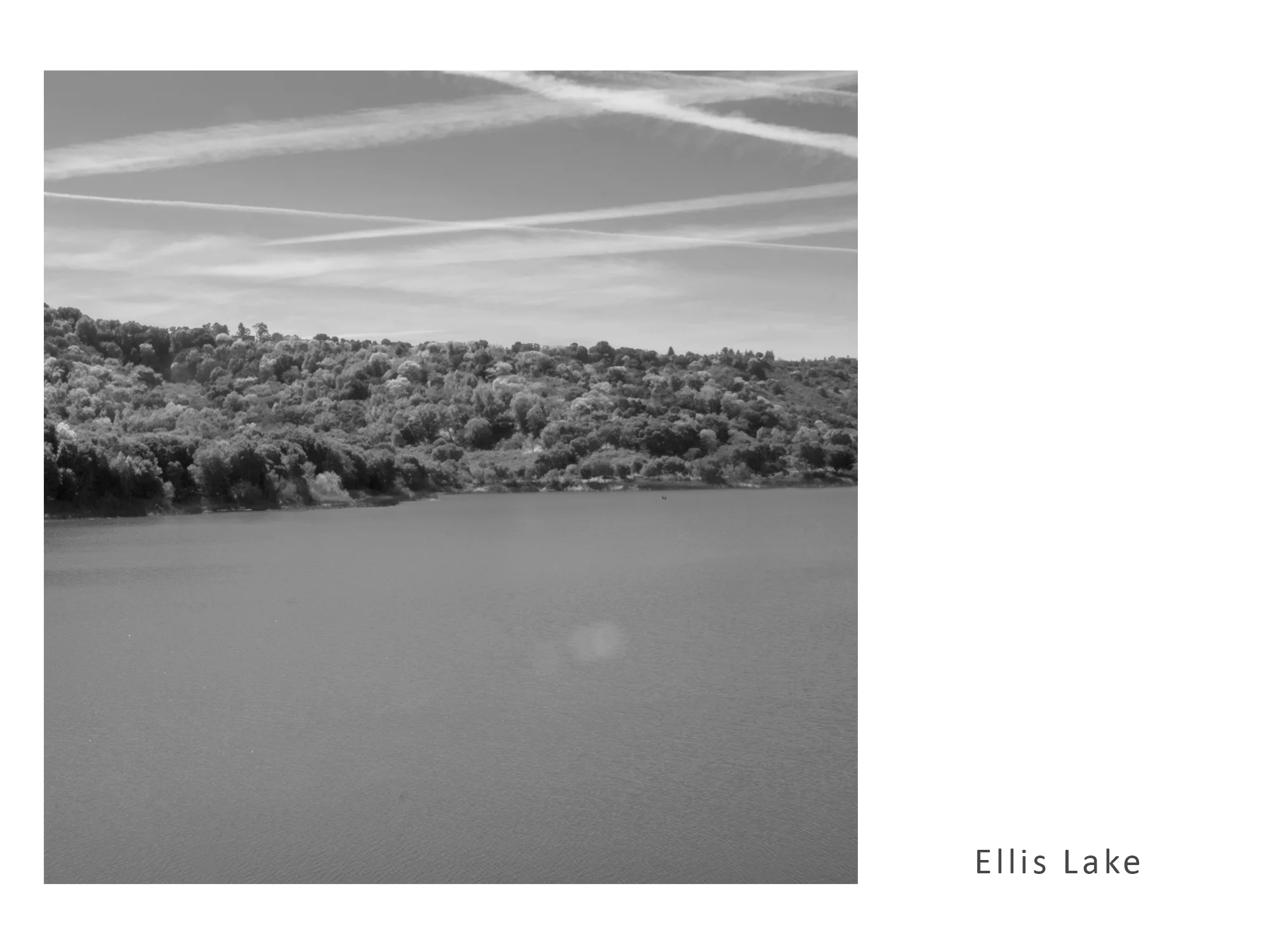 Ellis Lake.jpg