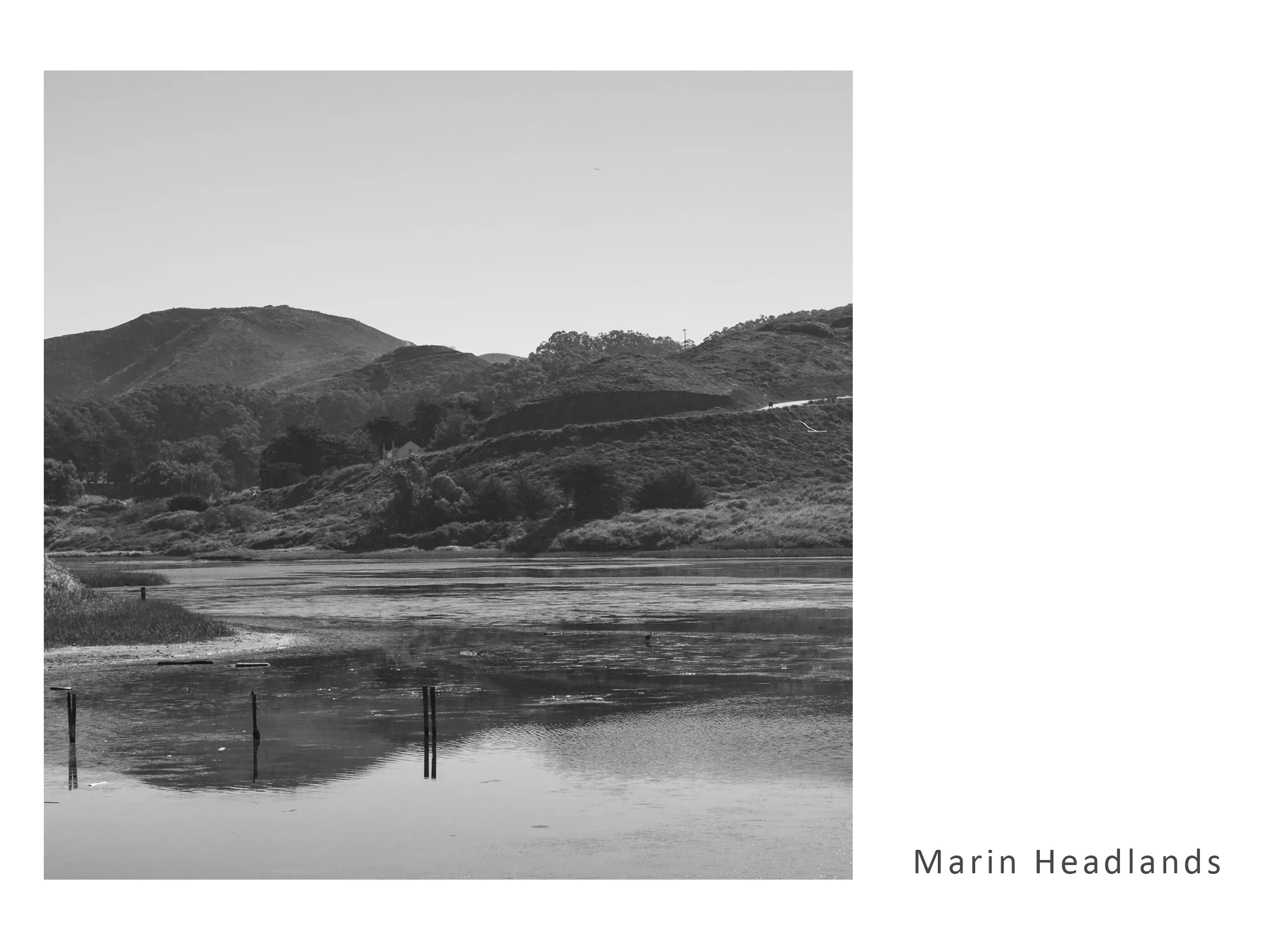 Marin Headlands.jpg
