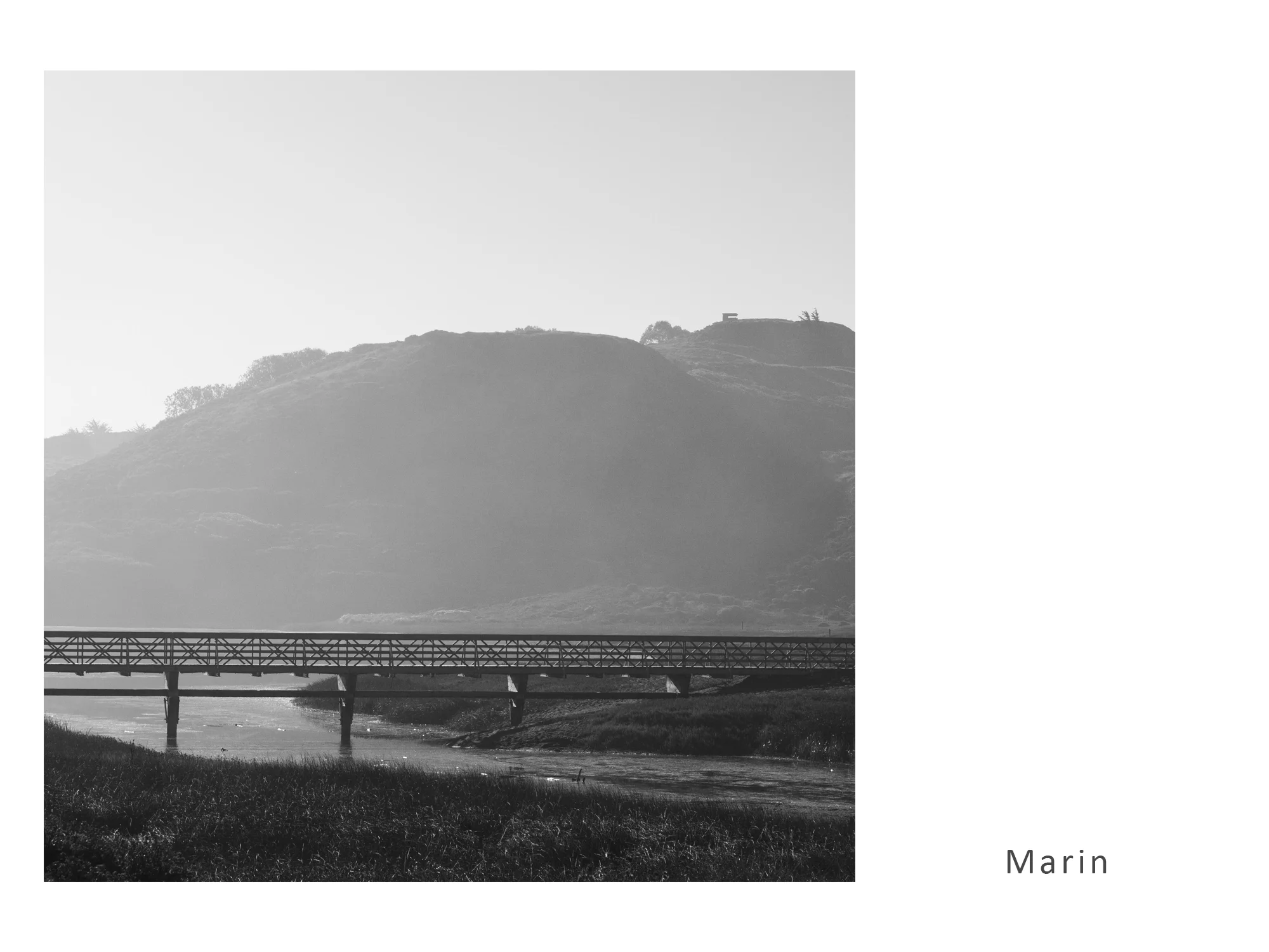 Marin.jpg