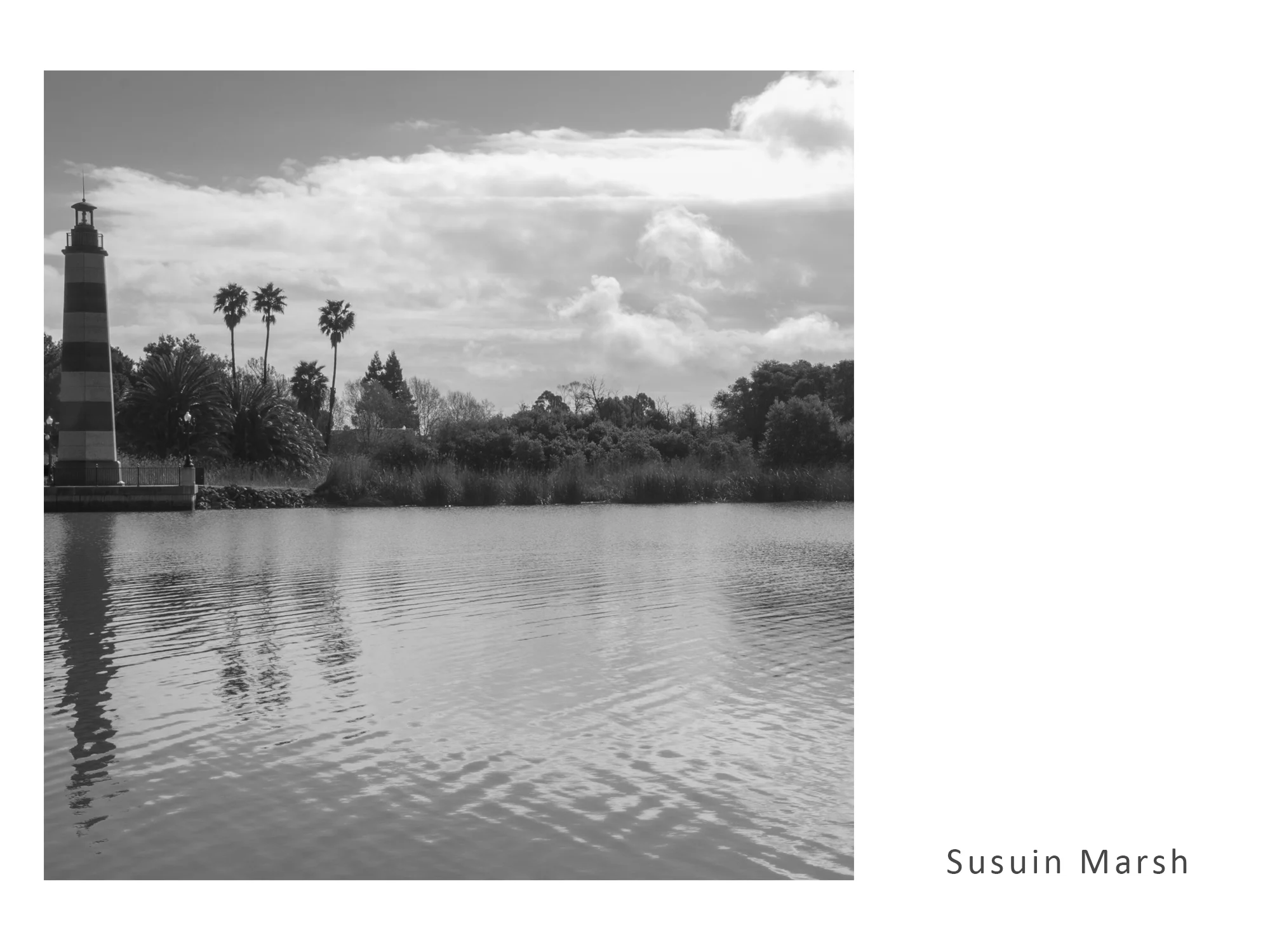Susuin Marsh.jpg