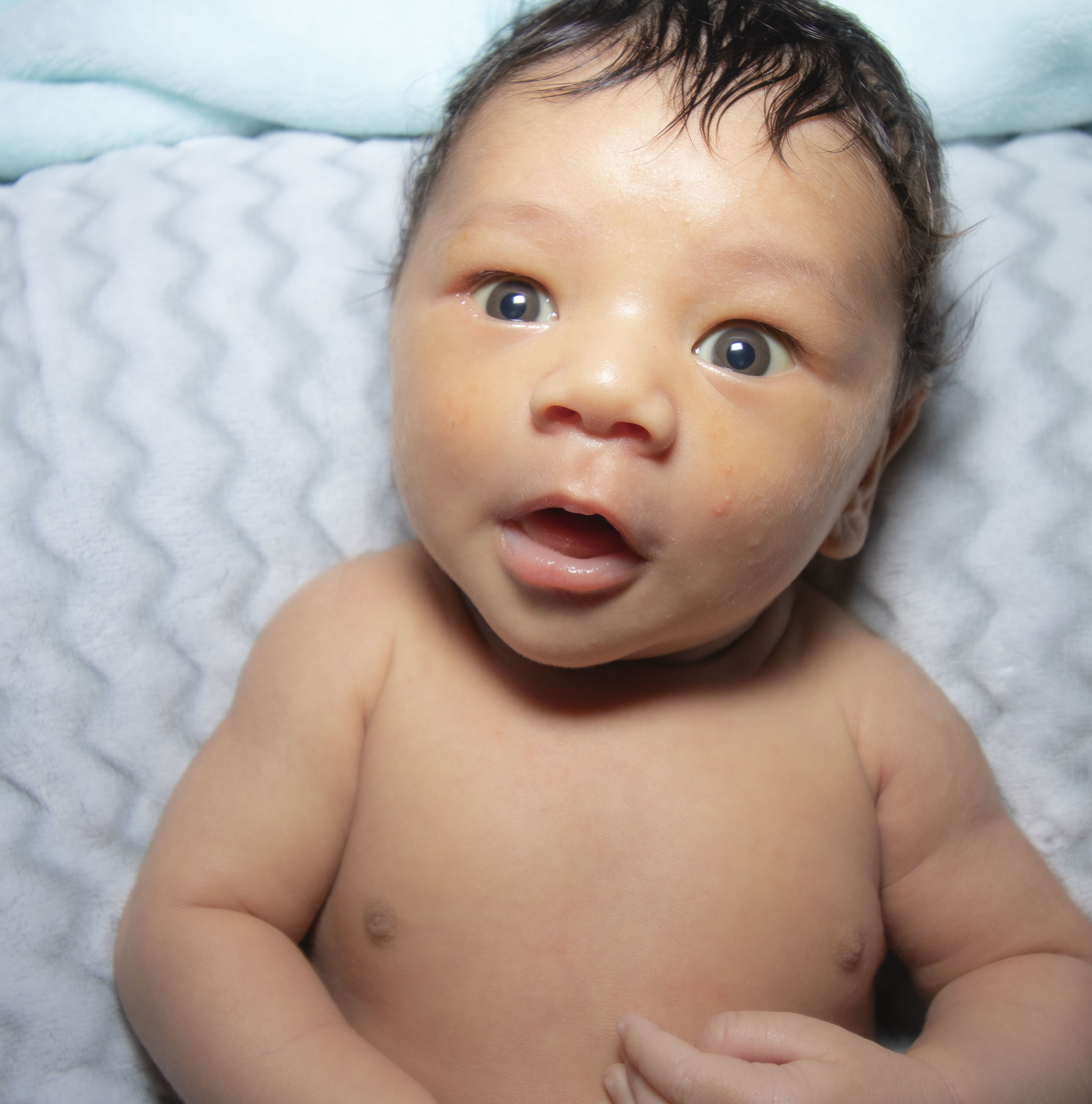 BabyLopi02.JPG