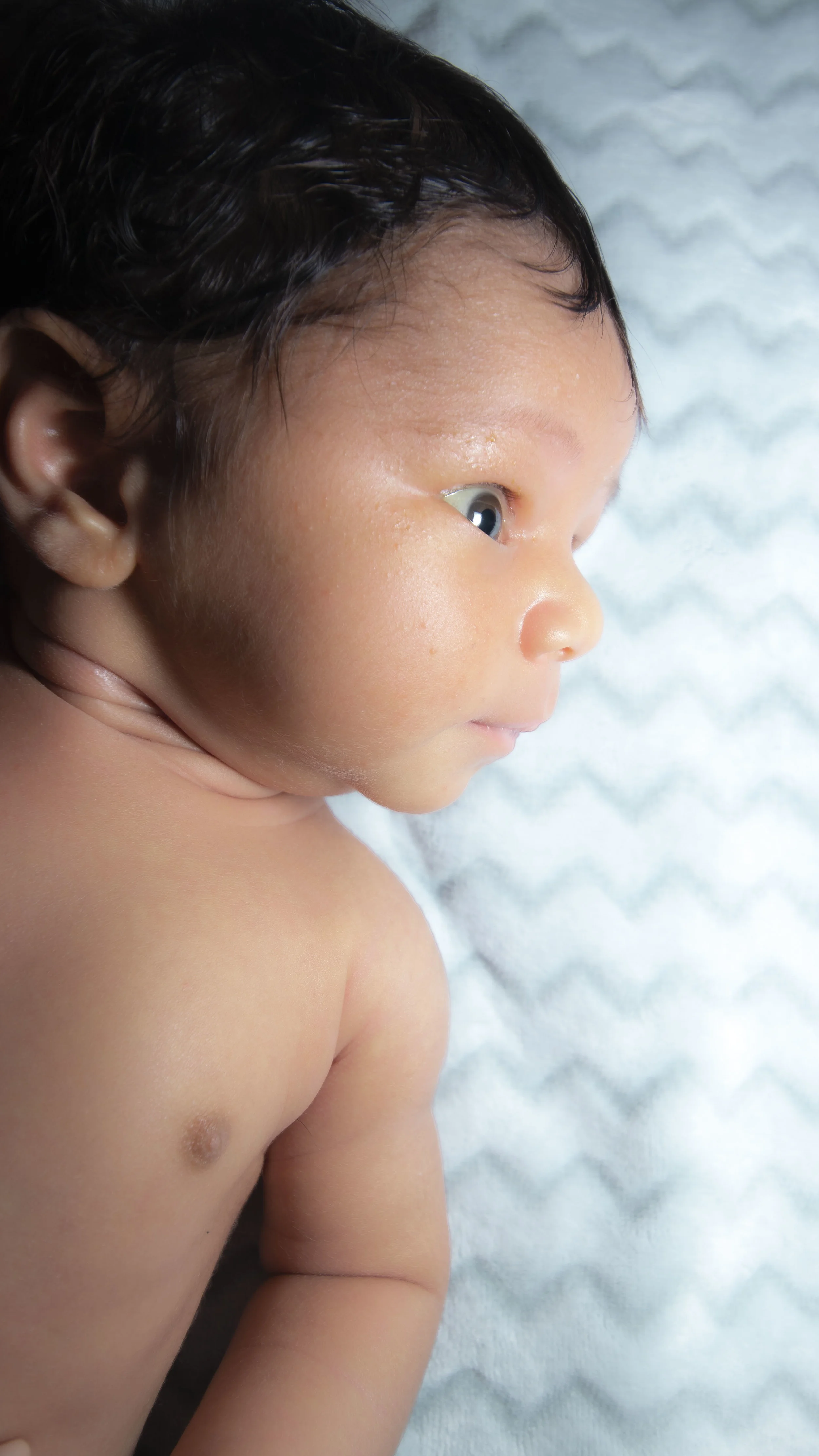 BabyLopi01.JPG