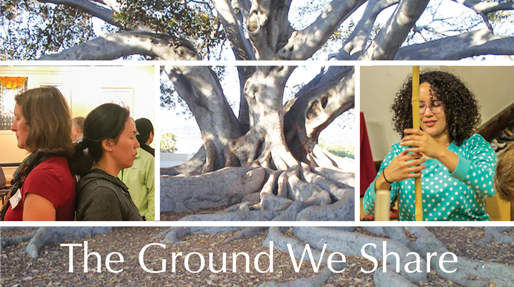 The Ground We Share - New York City