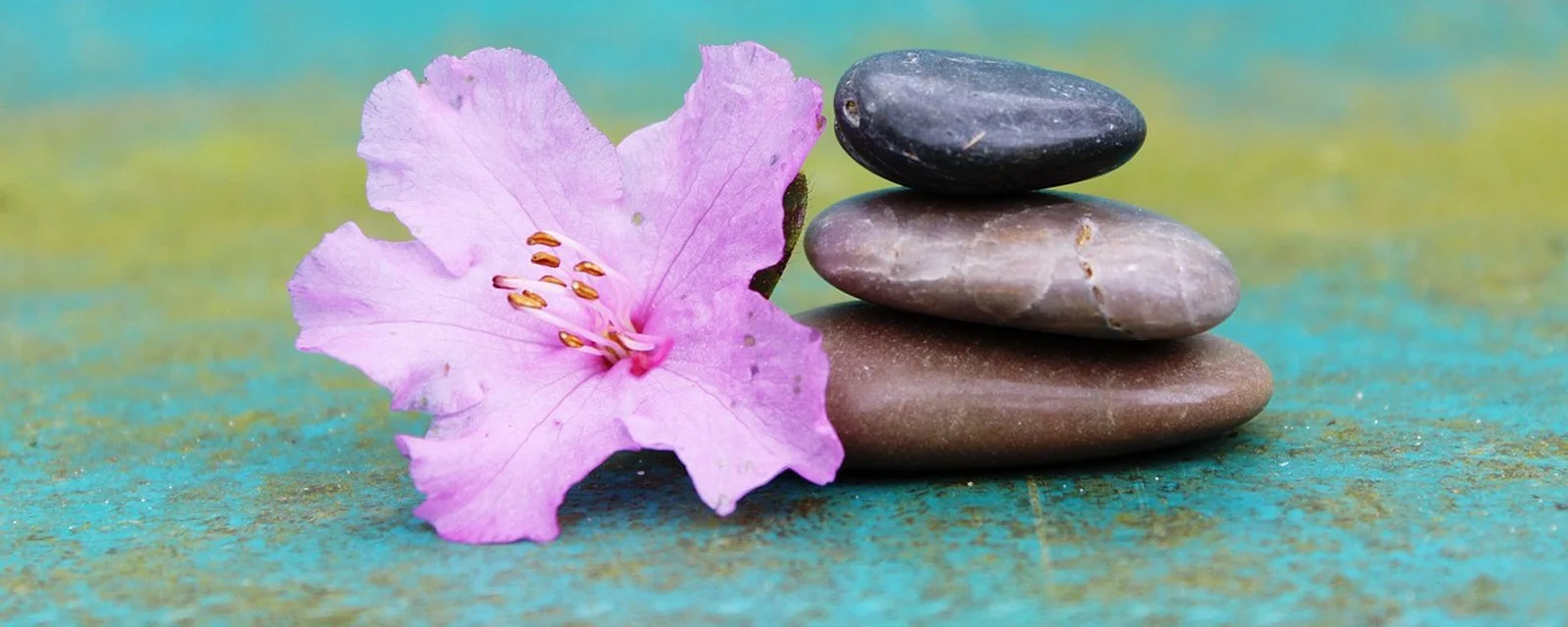 Zen und Sensory Awareness