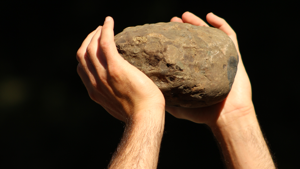 Die belebende Kraft der Gravitation 1