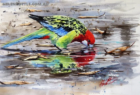 JUST A SIP WATERCOLOUR 45X60CM COPY.jpg