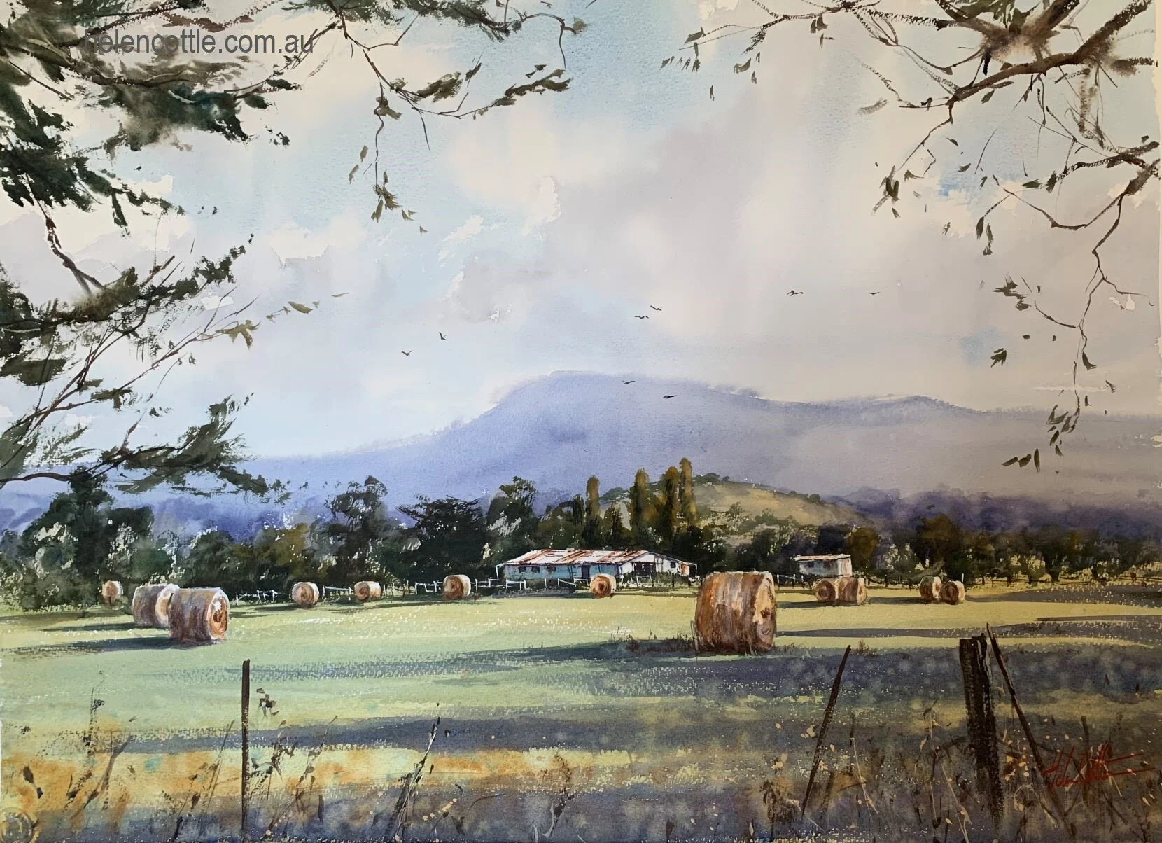 Macedon Ranges Morning