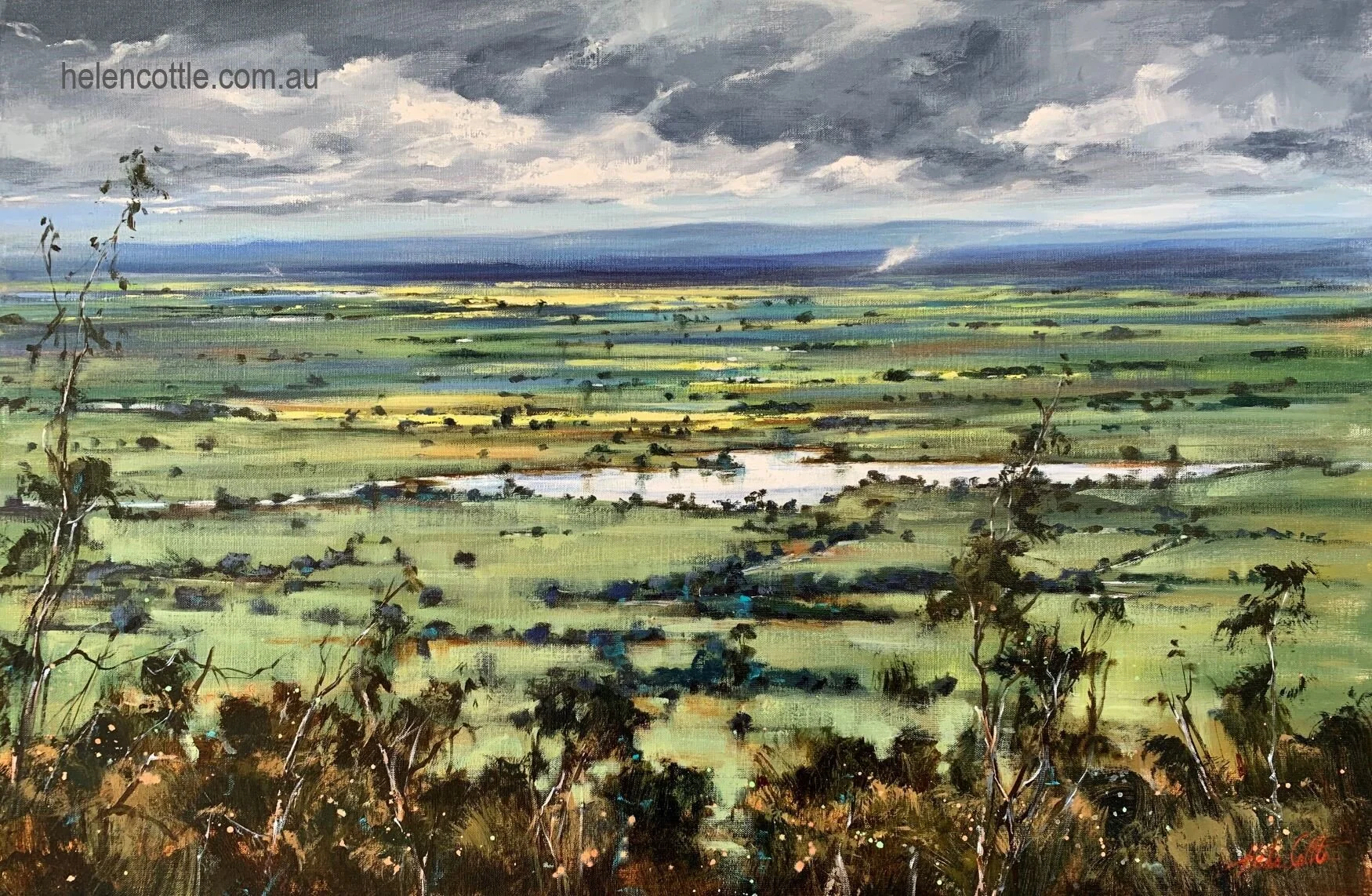 Dream of Spring, Mt Tarrengower