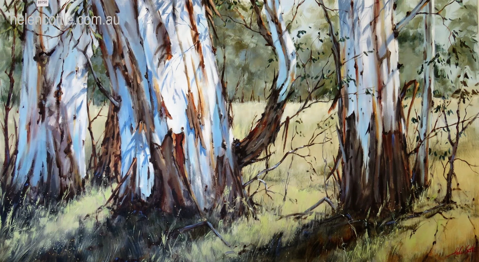 Winter Morning Beauty