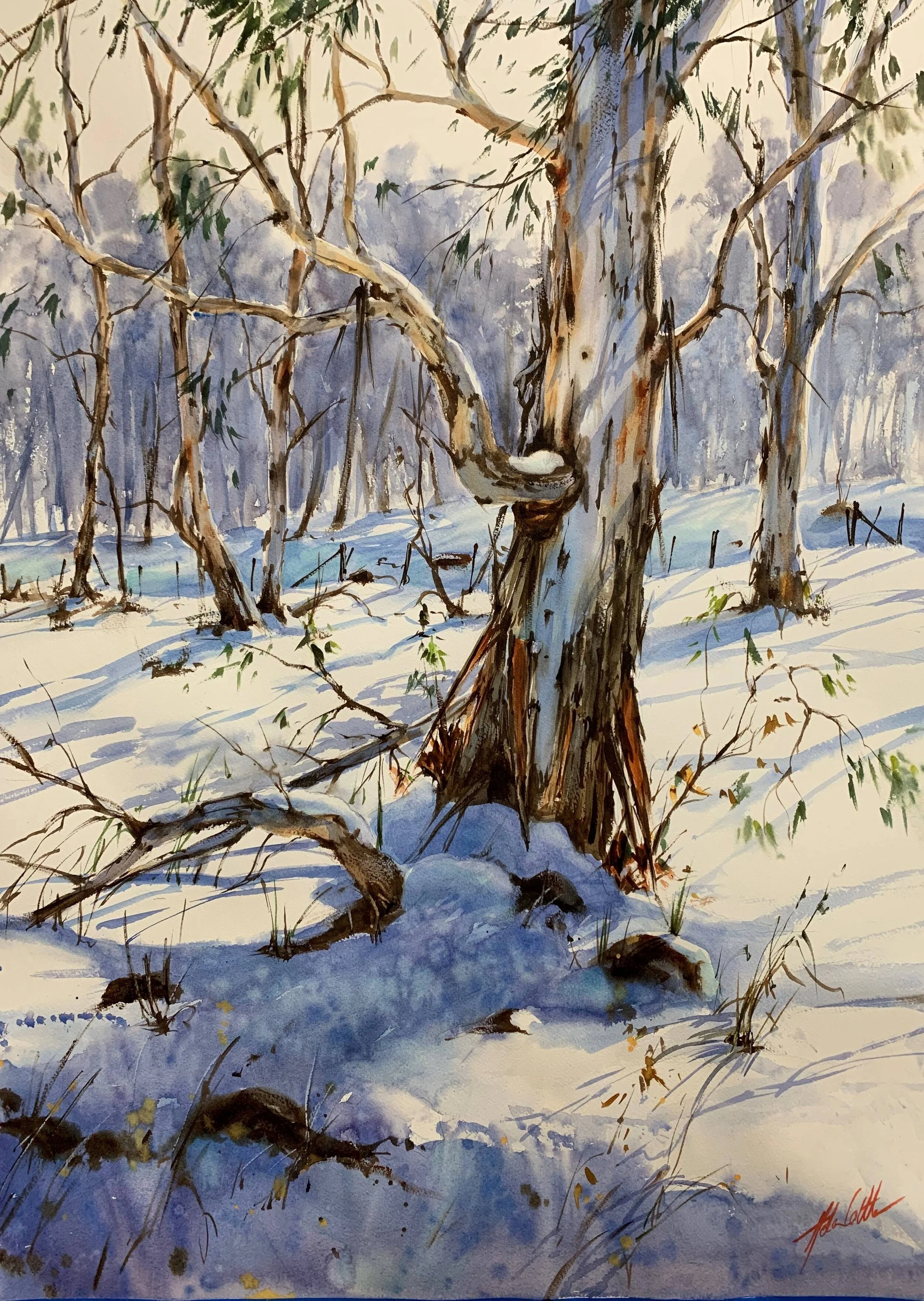 WINTER HARMOMY MACEDON RANGES WATERCOLOUR 74X56CM BY HELEN COTTLE COPY.jpeg