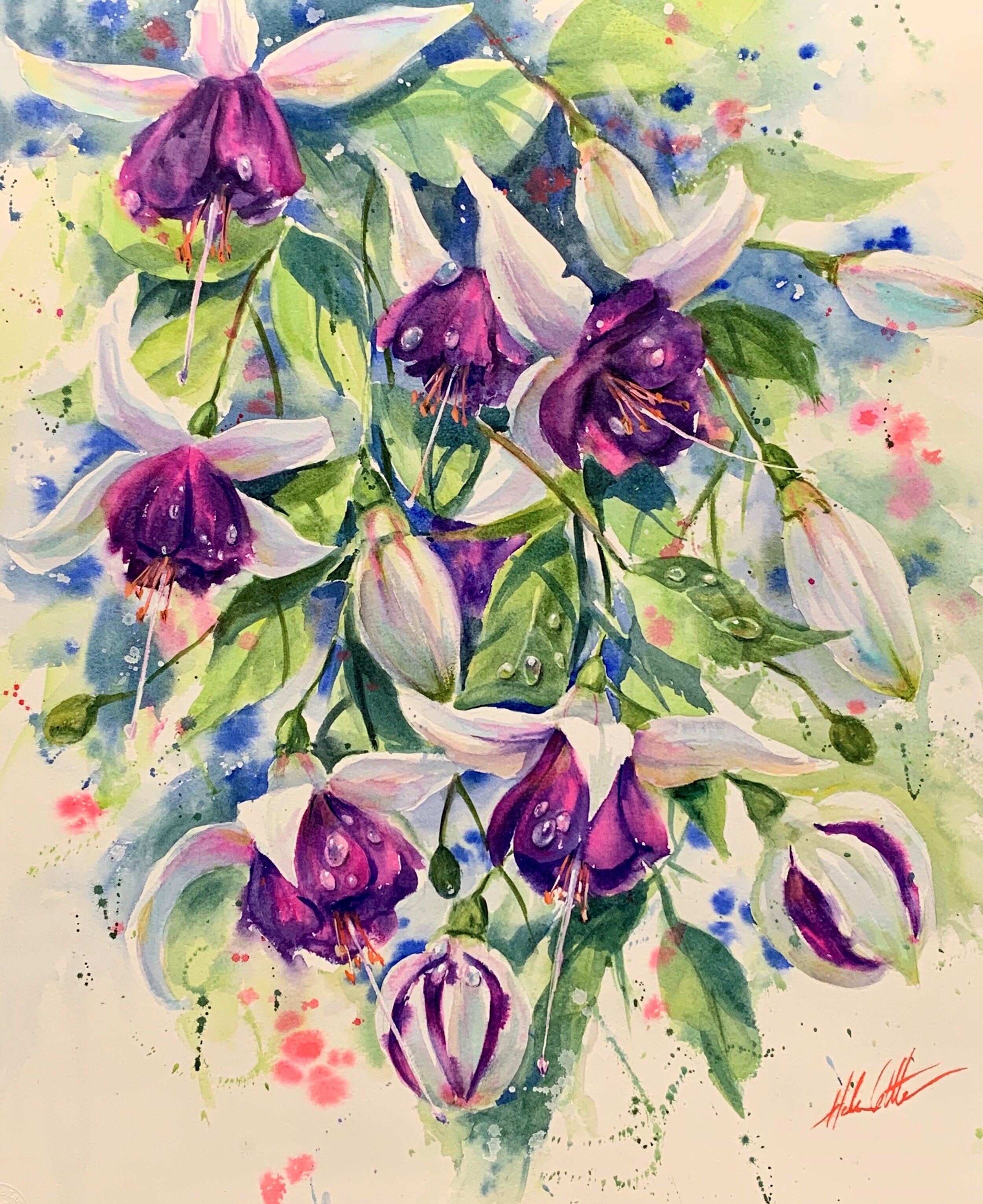 Fuschia WATERCOLOUR 54X45CM.jpeg