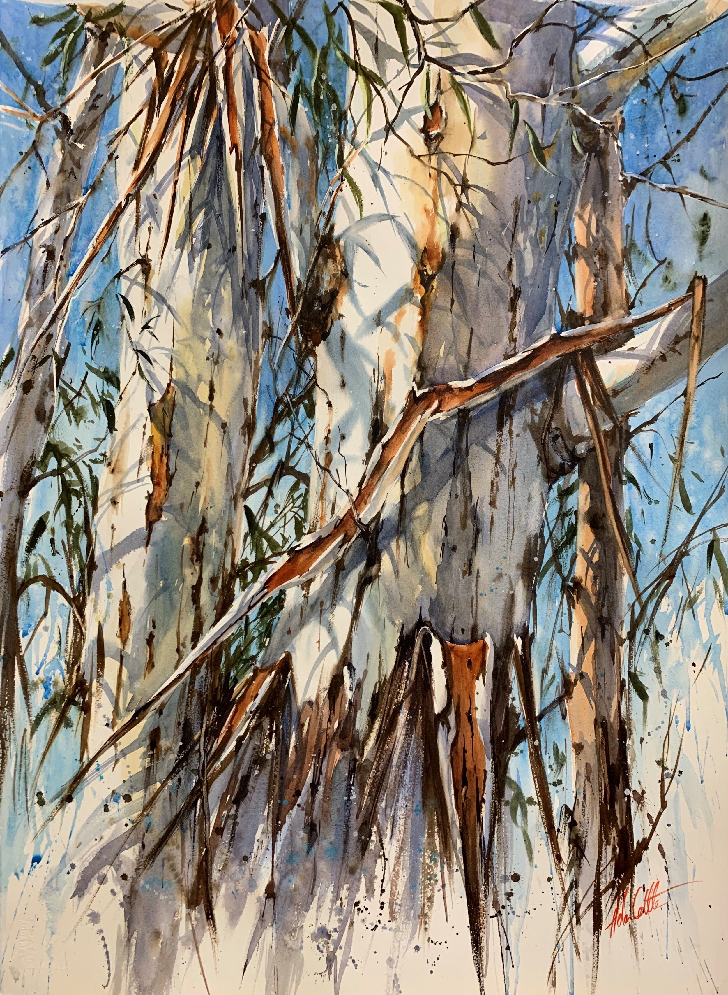 A GIFT FROM OUR LAND 