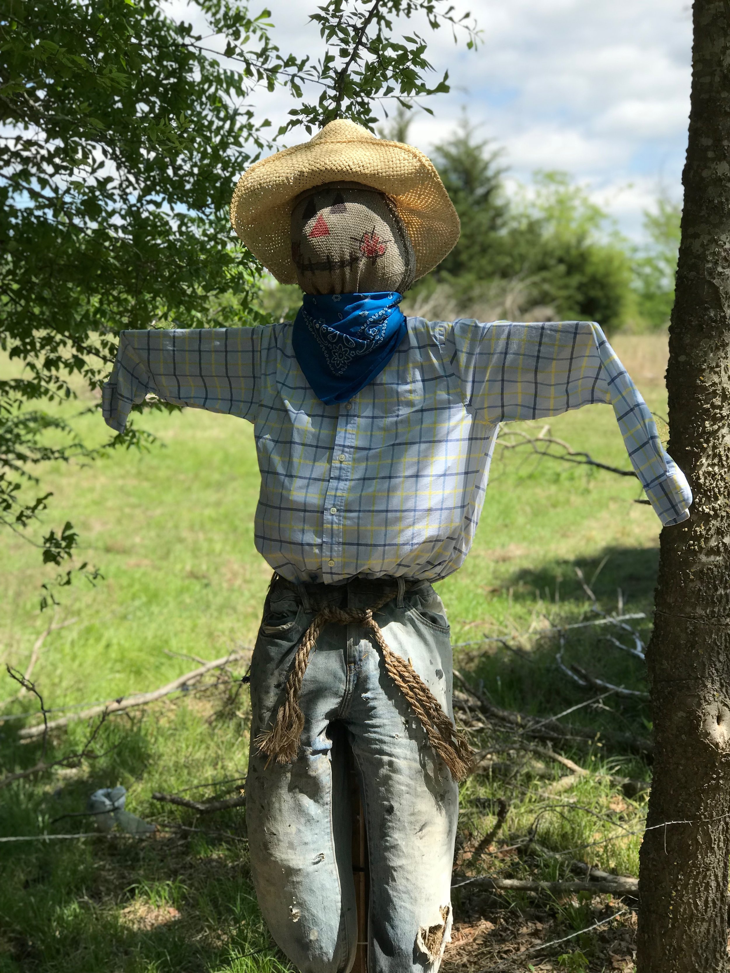 gate scarecrow.JPG