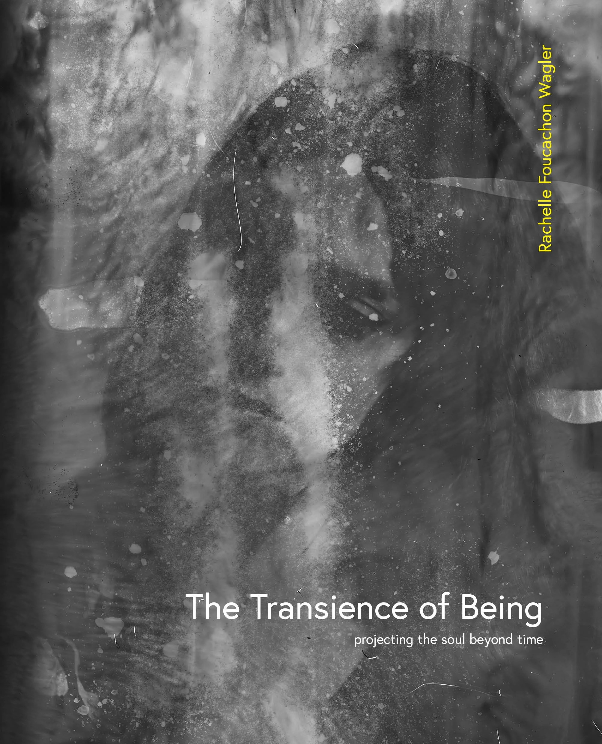 The Transience of Being — Rachelle Foucachon