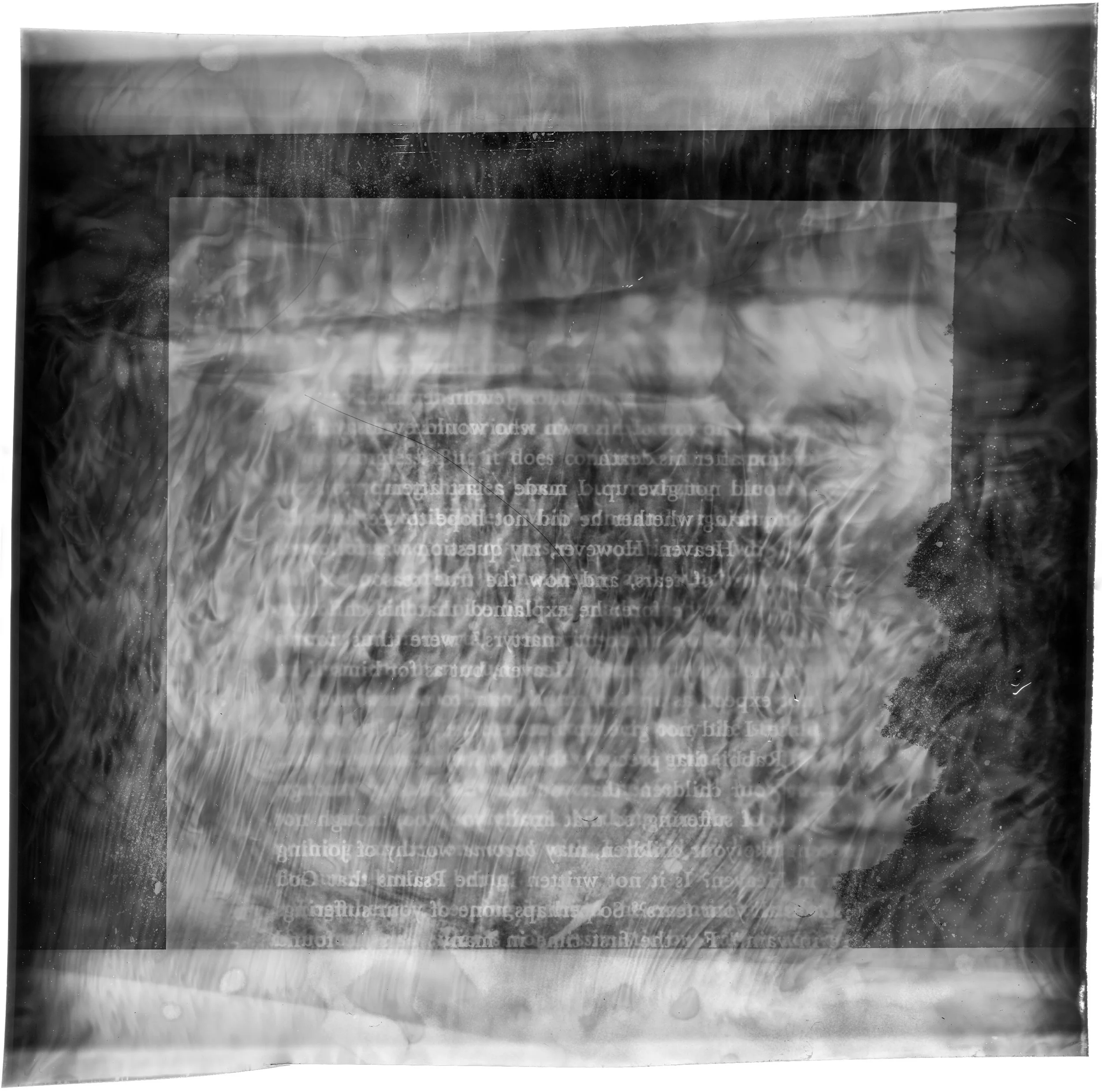 The Transience of Being — Rachelle Foucachon