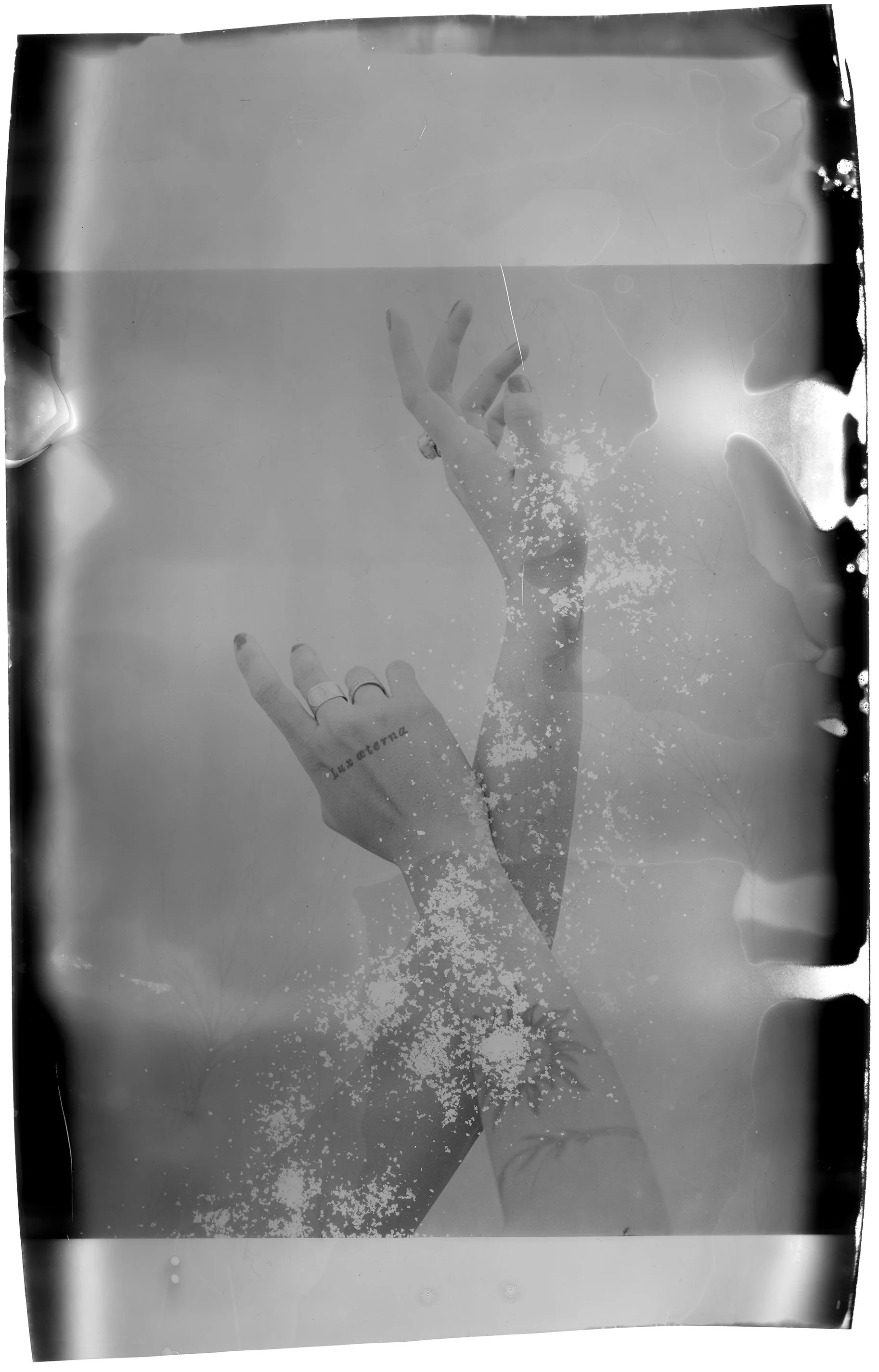 The Transience of Being — Rachelle Foucachon