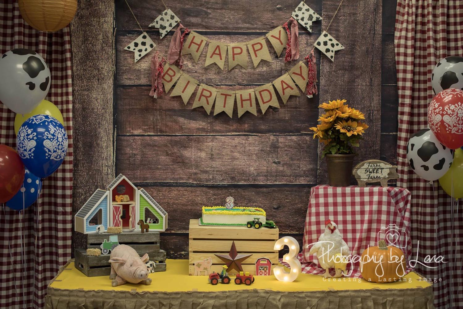 Birthday Party Farm Rental