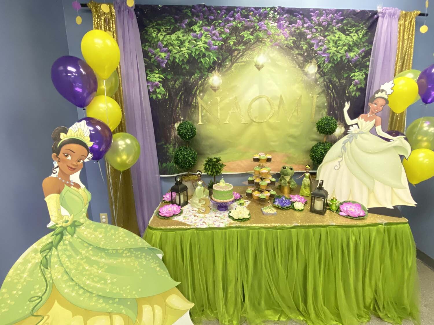 Princess Tiana Birthday Party Decorations Shelly Lighting
