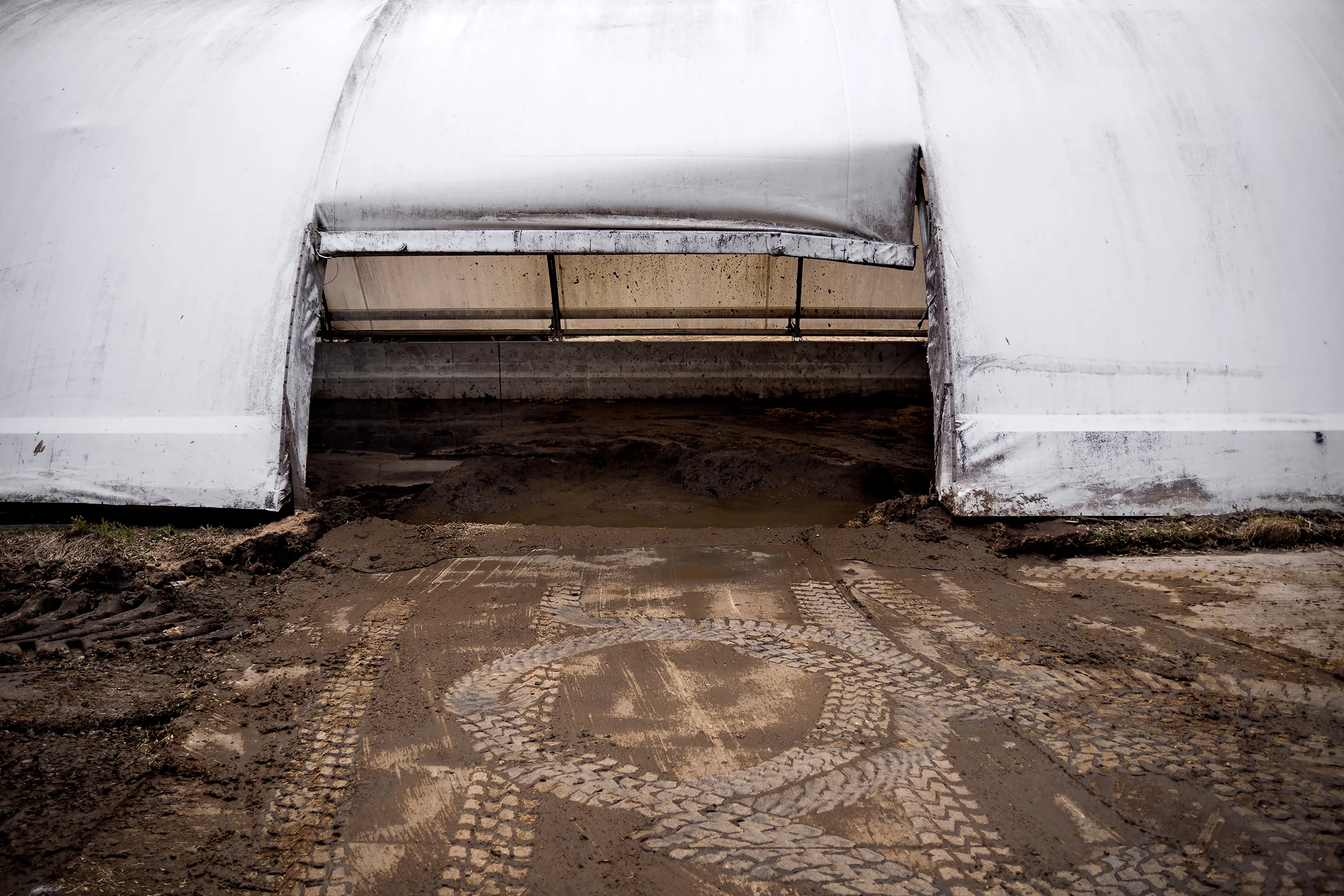 manure shed_.jpg