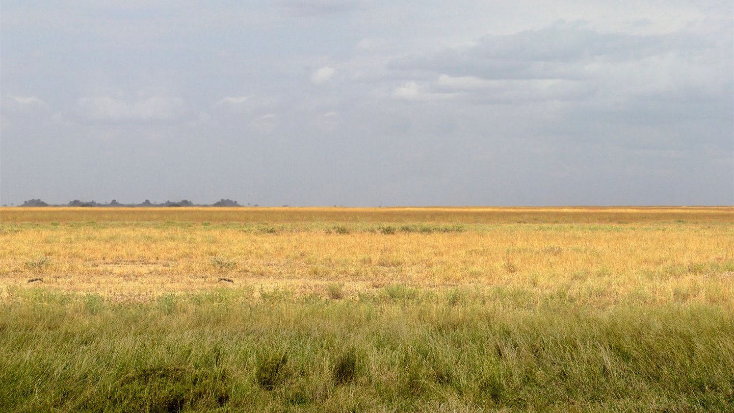 trailer-section-background-scene.jpg